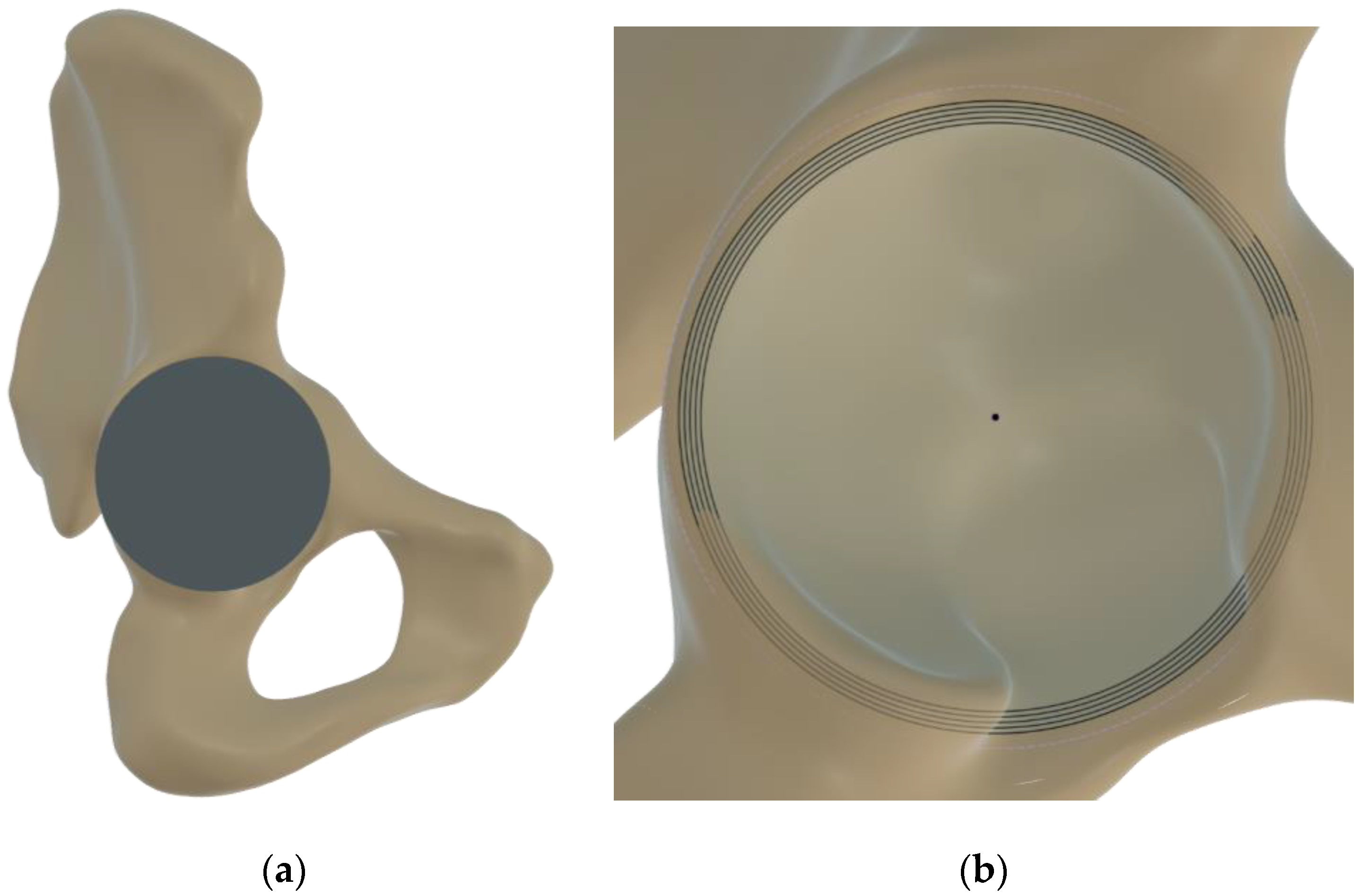 Pathophysiology 30 00008 g001 Pathophysiology 30 00008 g001
