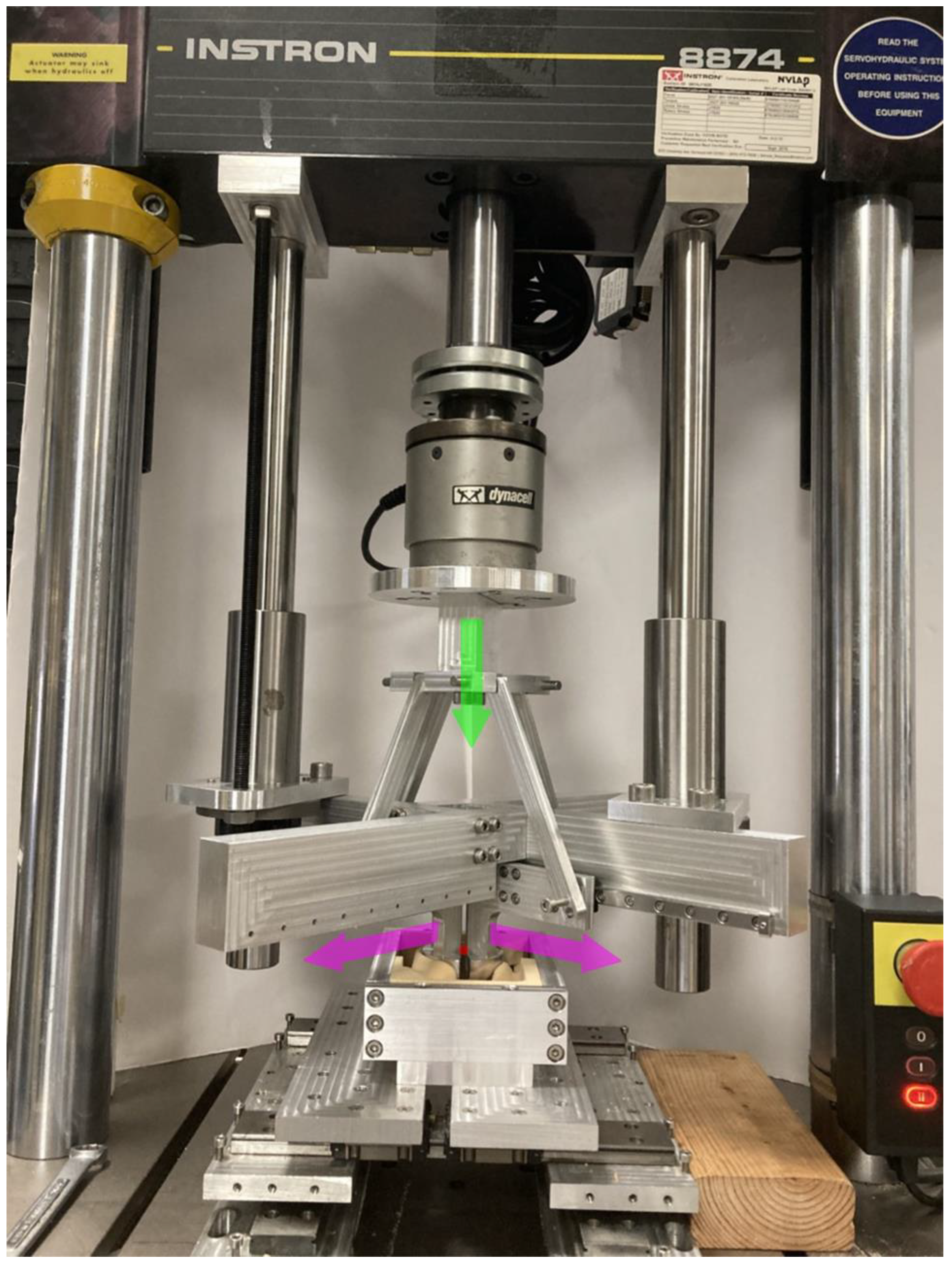 Pathophysiology 30 00008 g002 Pathophysiology 30 00008 g002