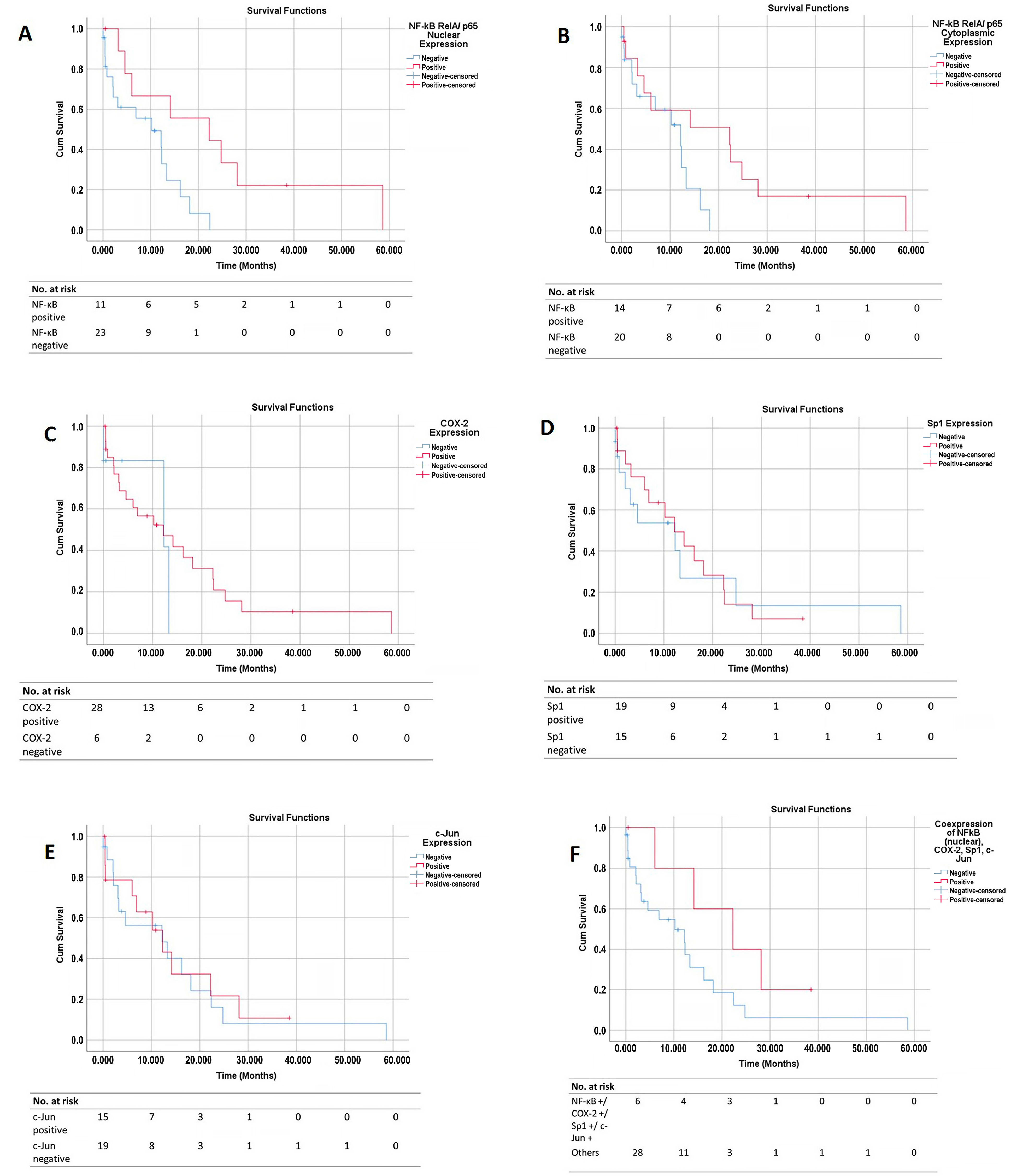 Pathophysiology 30 00009 g005 Pathophysiology 30 00009 g005
