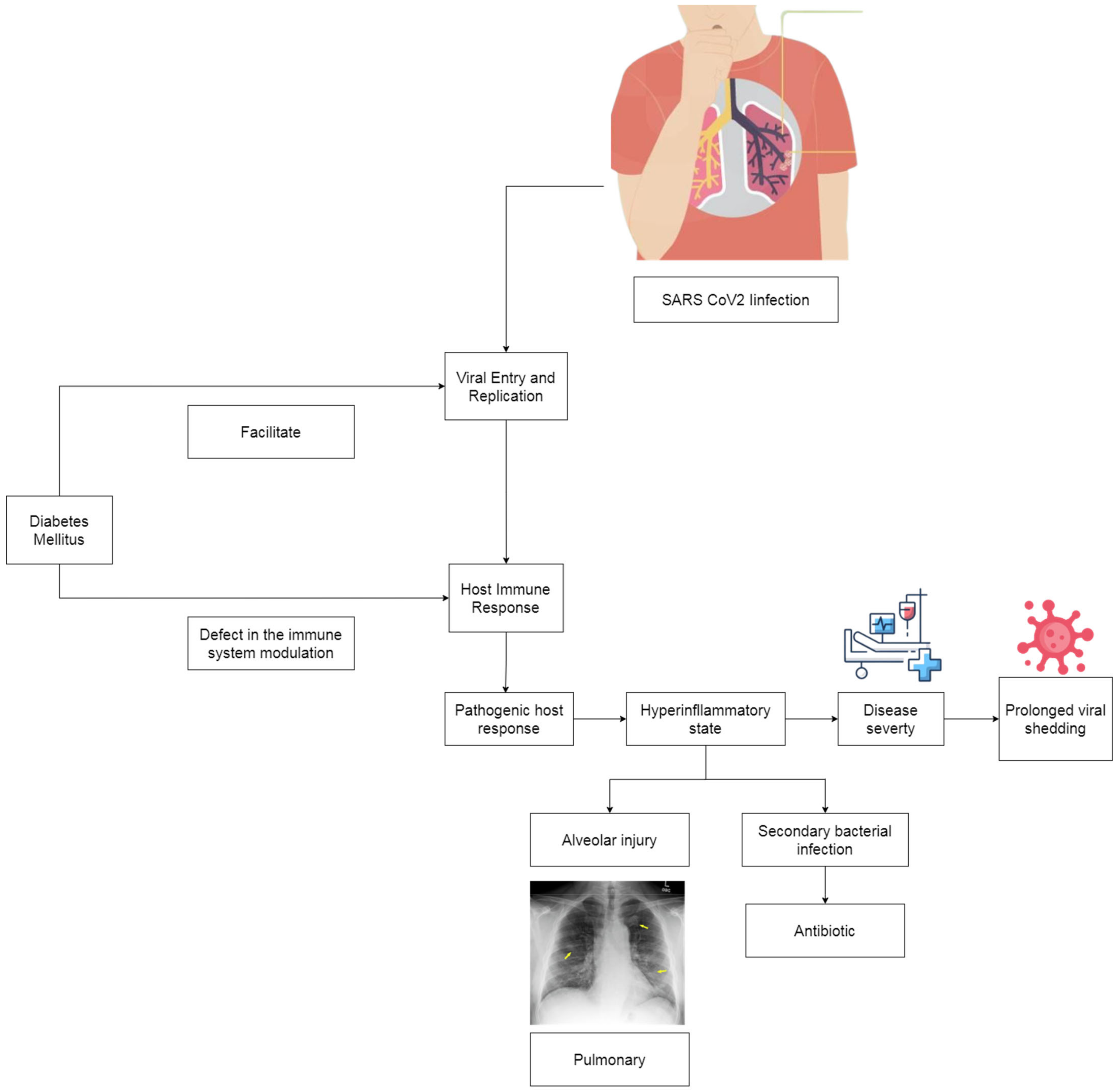 Pathophysiology 30 00016 g002 Pathophysiology 30 00016 g002