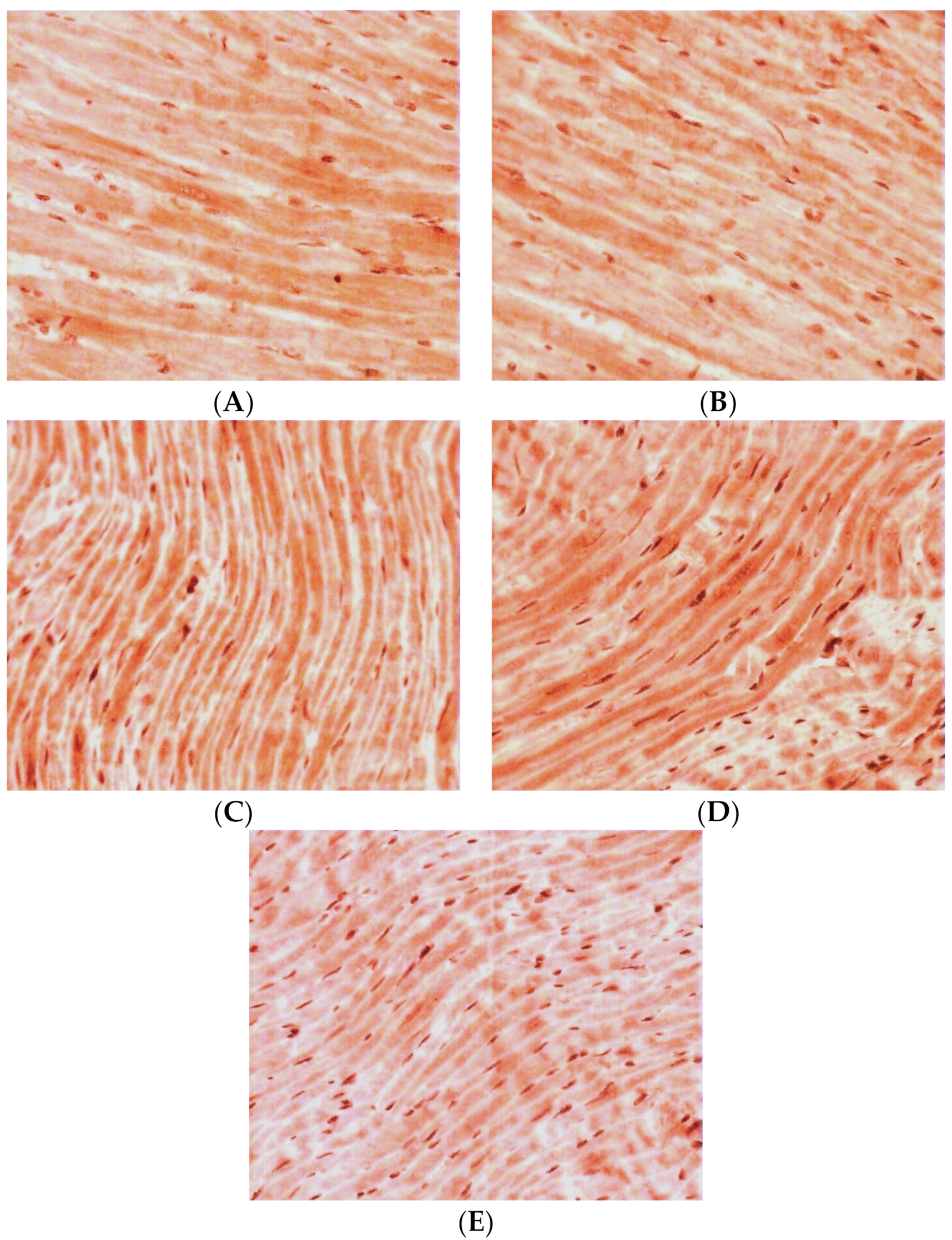 Pathophysiology 30 00021 g002