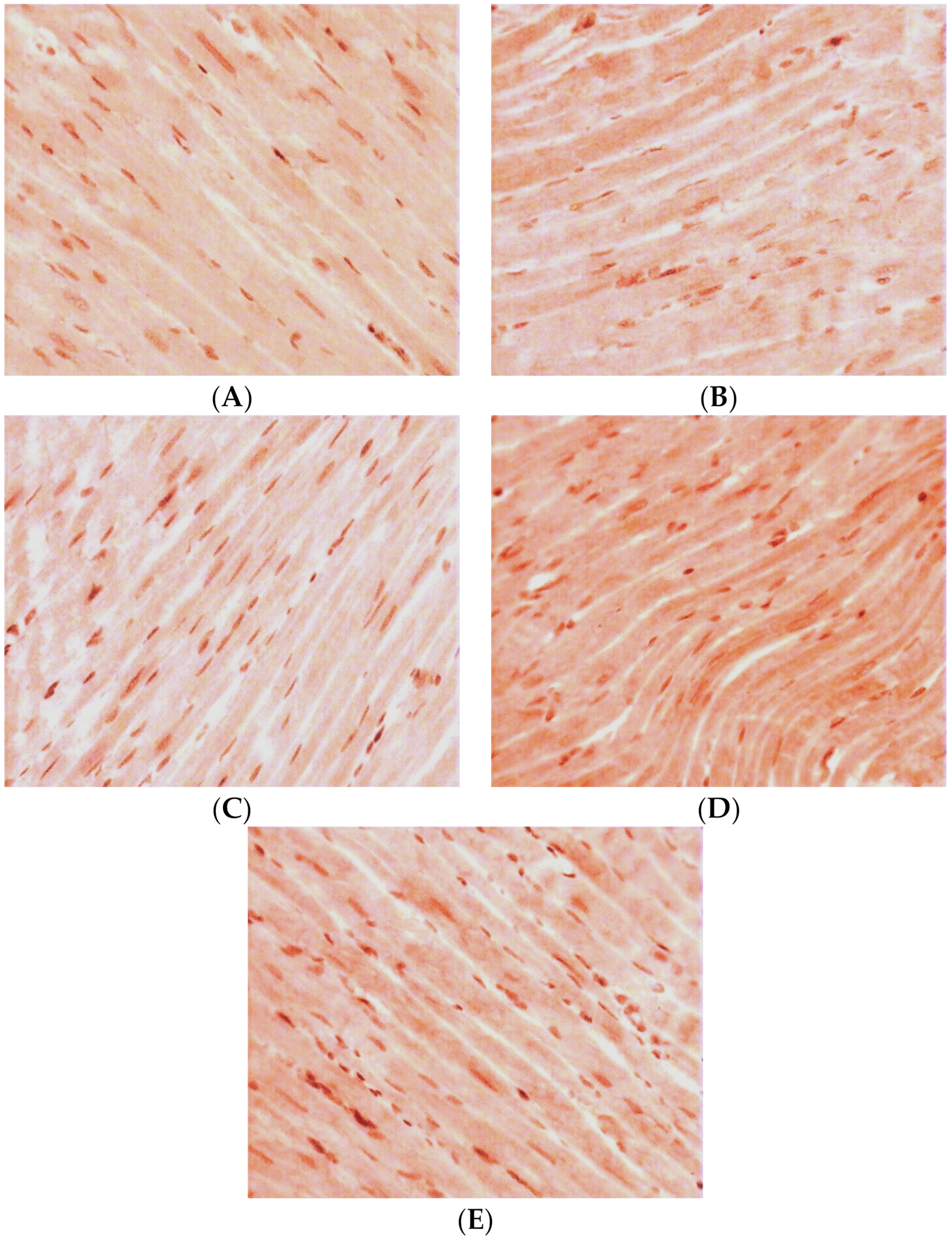 Pathophysiology 30 00021 g004