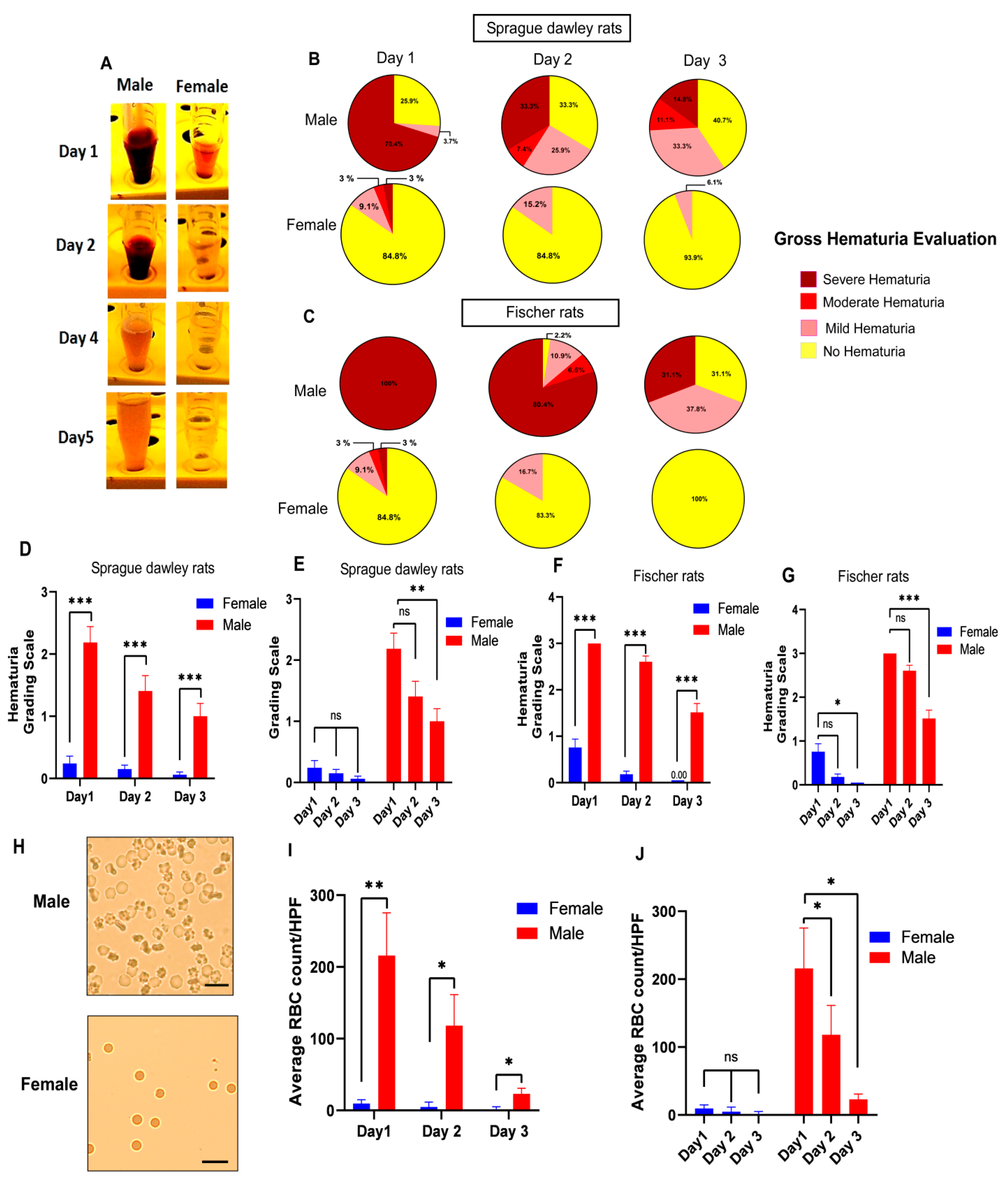 Pathophysiology 30 00023 g002