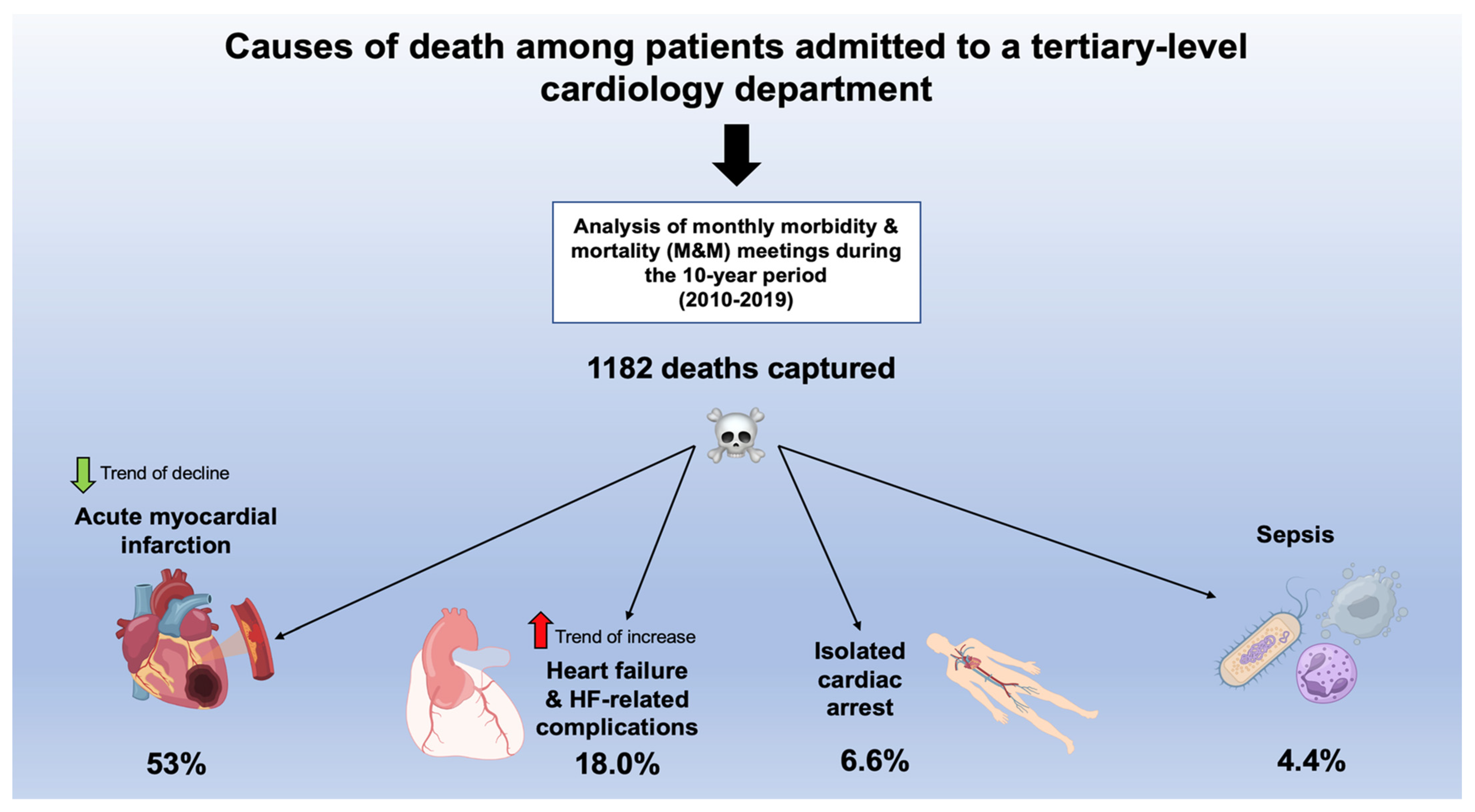 Pathophysiology 30 00034 g004 Pathophysiology 30 00034 g004