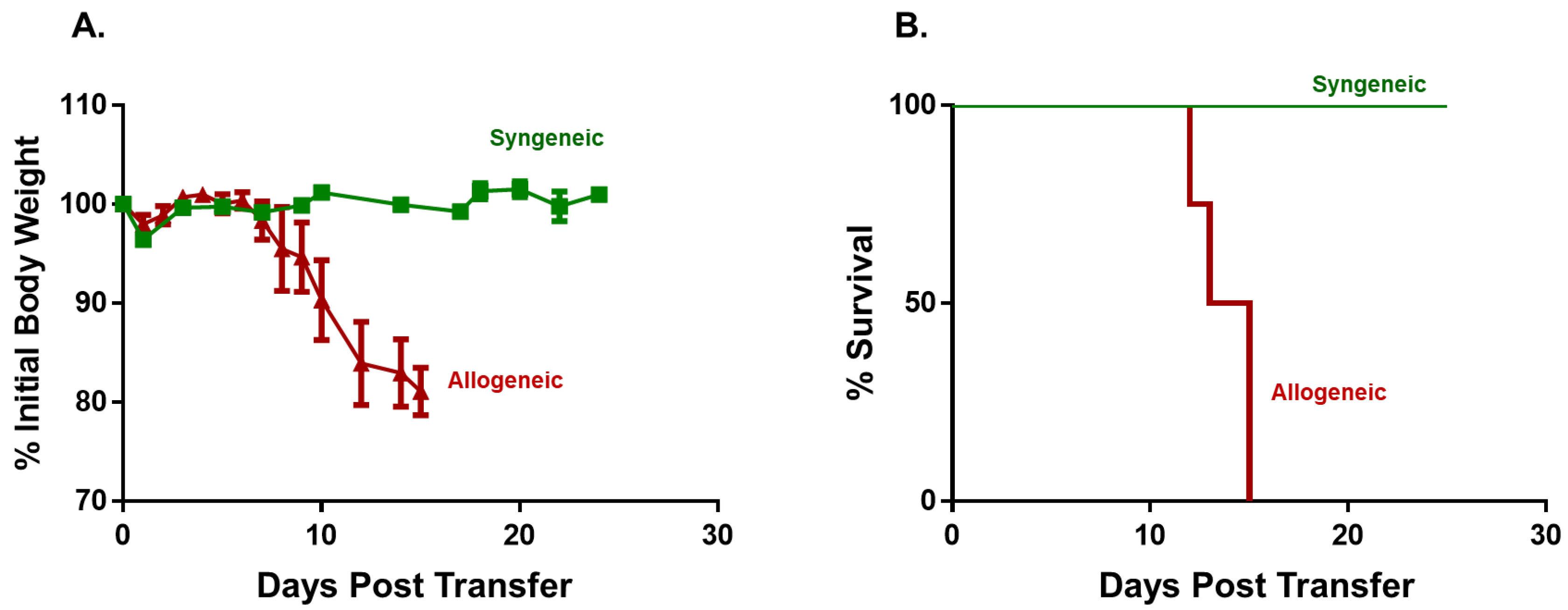 Pathophysiology 30 00039 g001 Pathophysiology 30 00039 g001