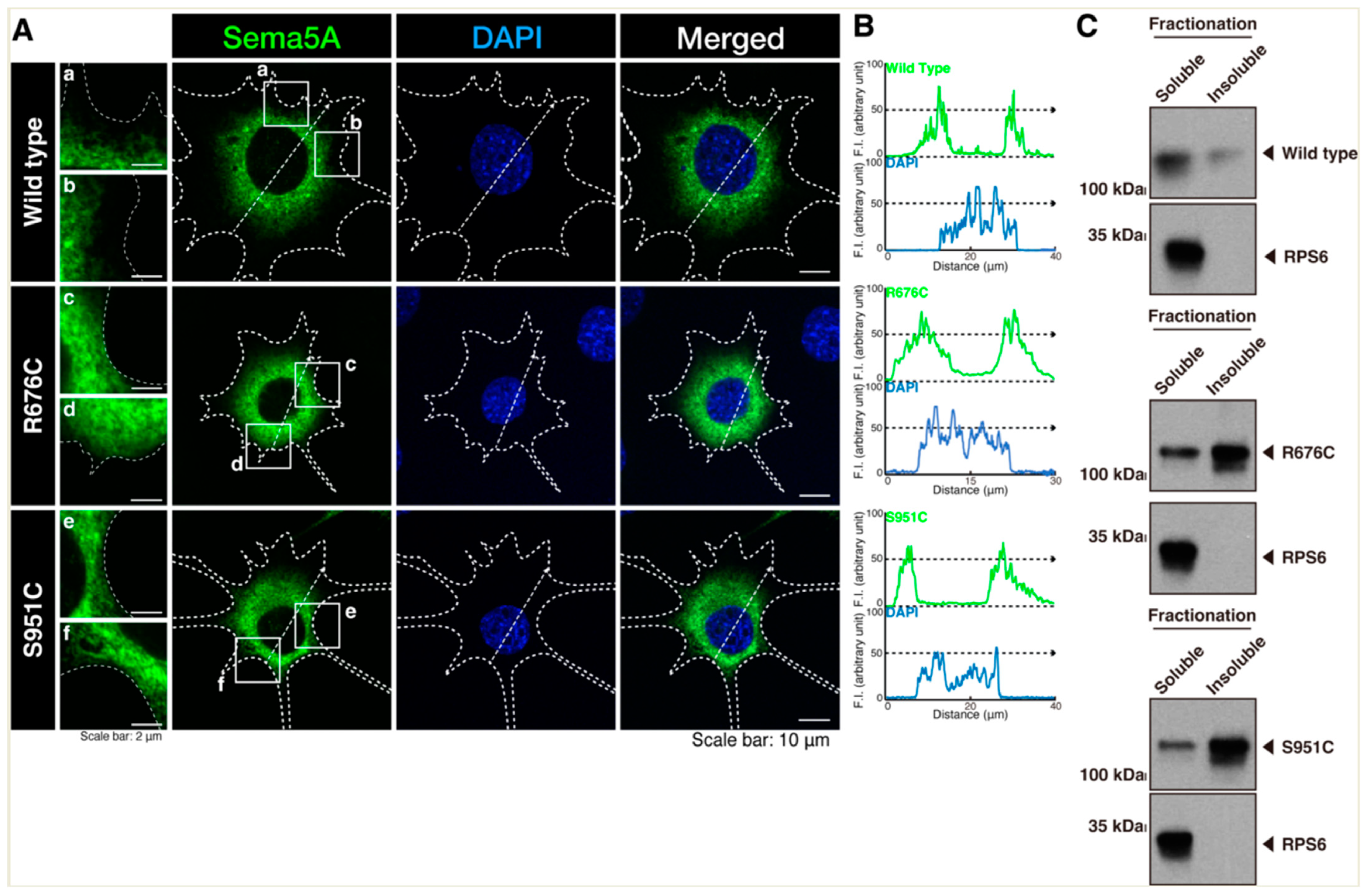 Pathophysiology 30 00040 g001