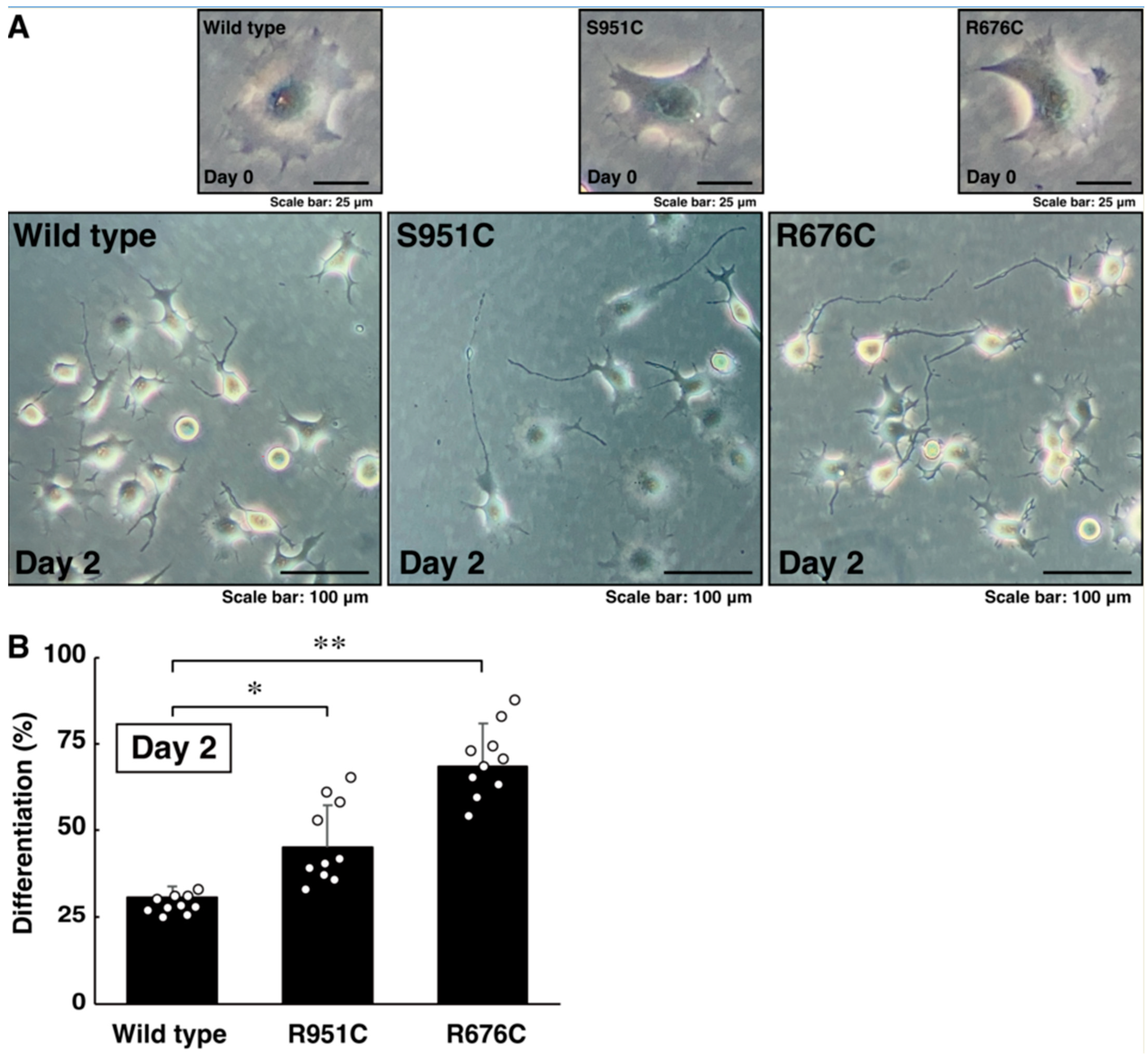 Pathophysiology 30 00040 g004