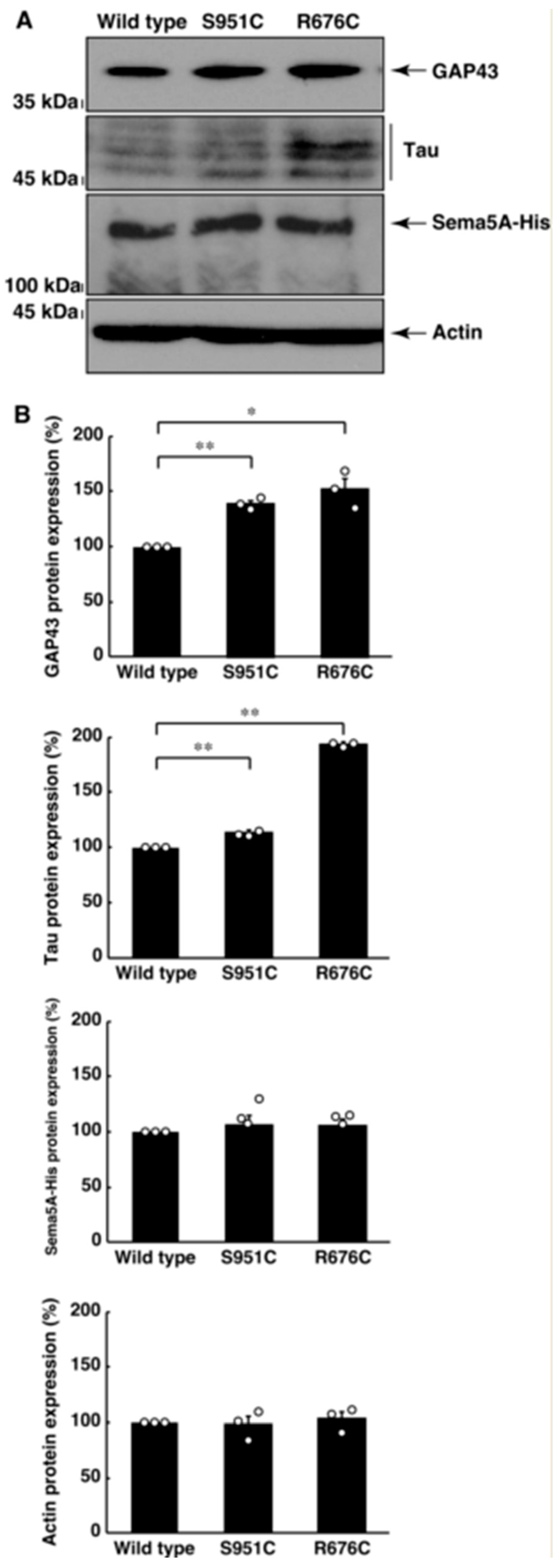 Pathophysiology 30 00040 g005