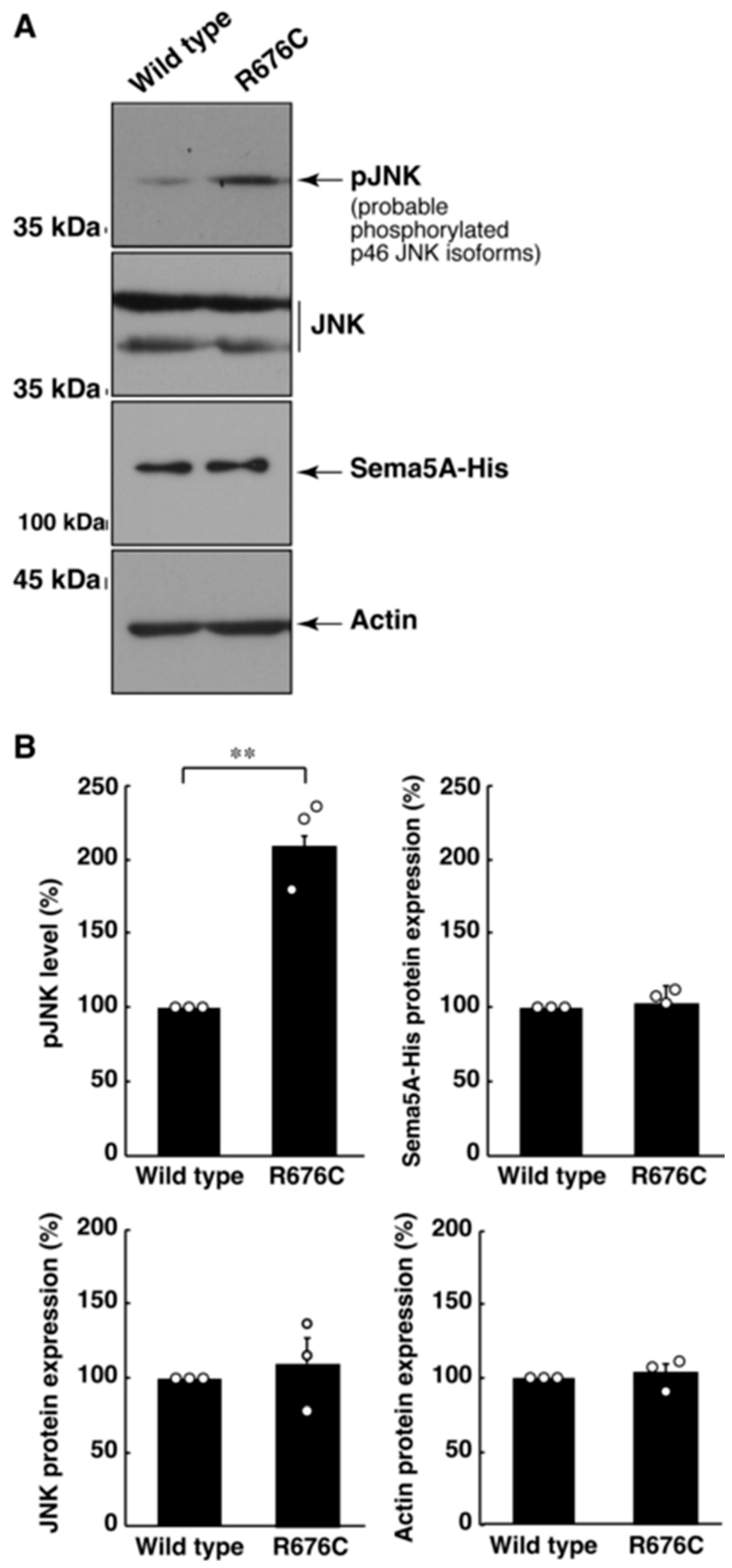 Pathophysiology 30 00040 g006