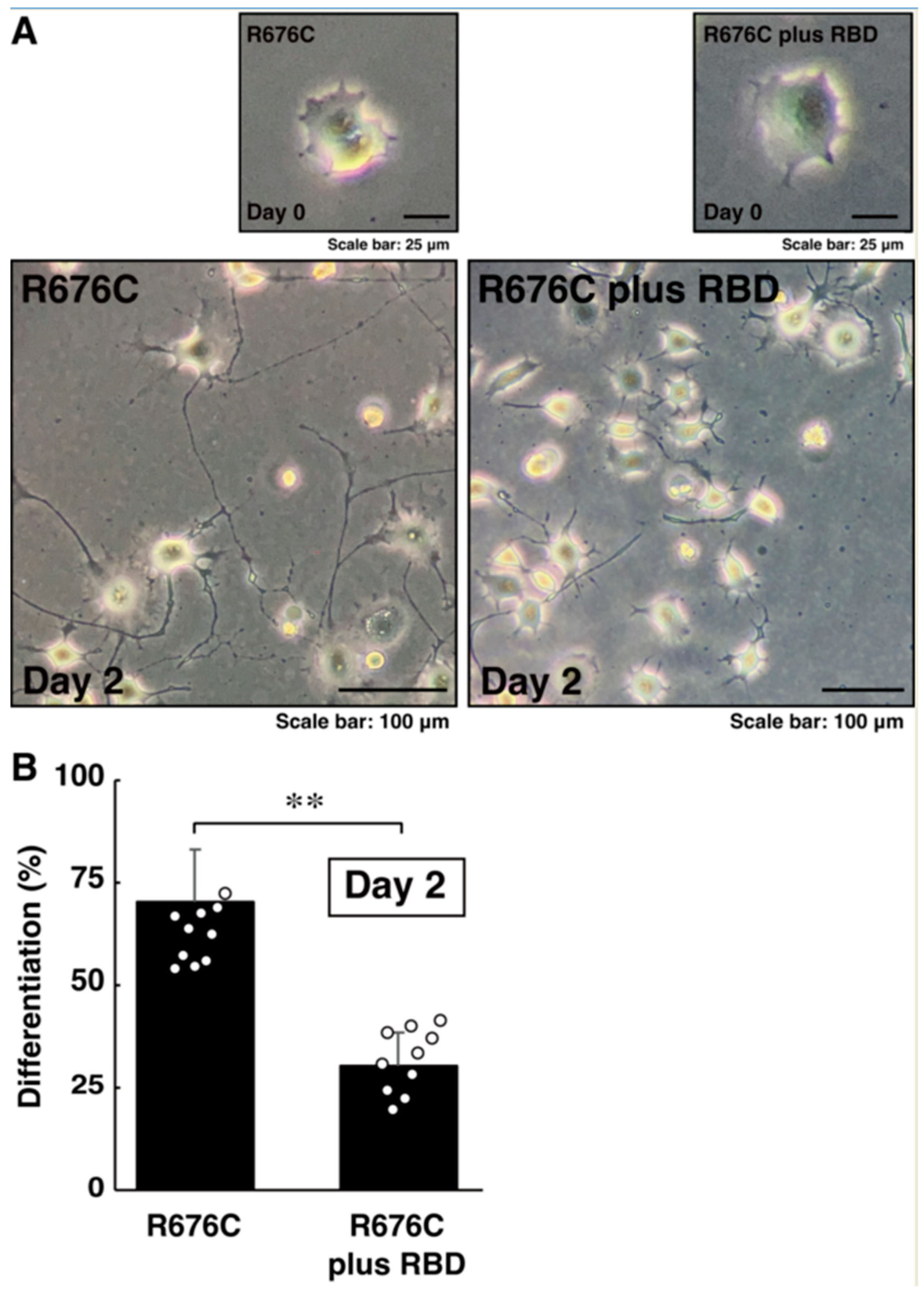 Pathophysiology 30 00040 g007