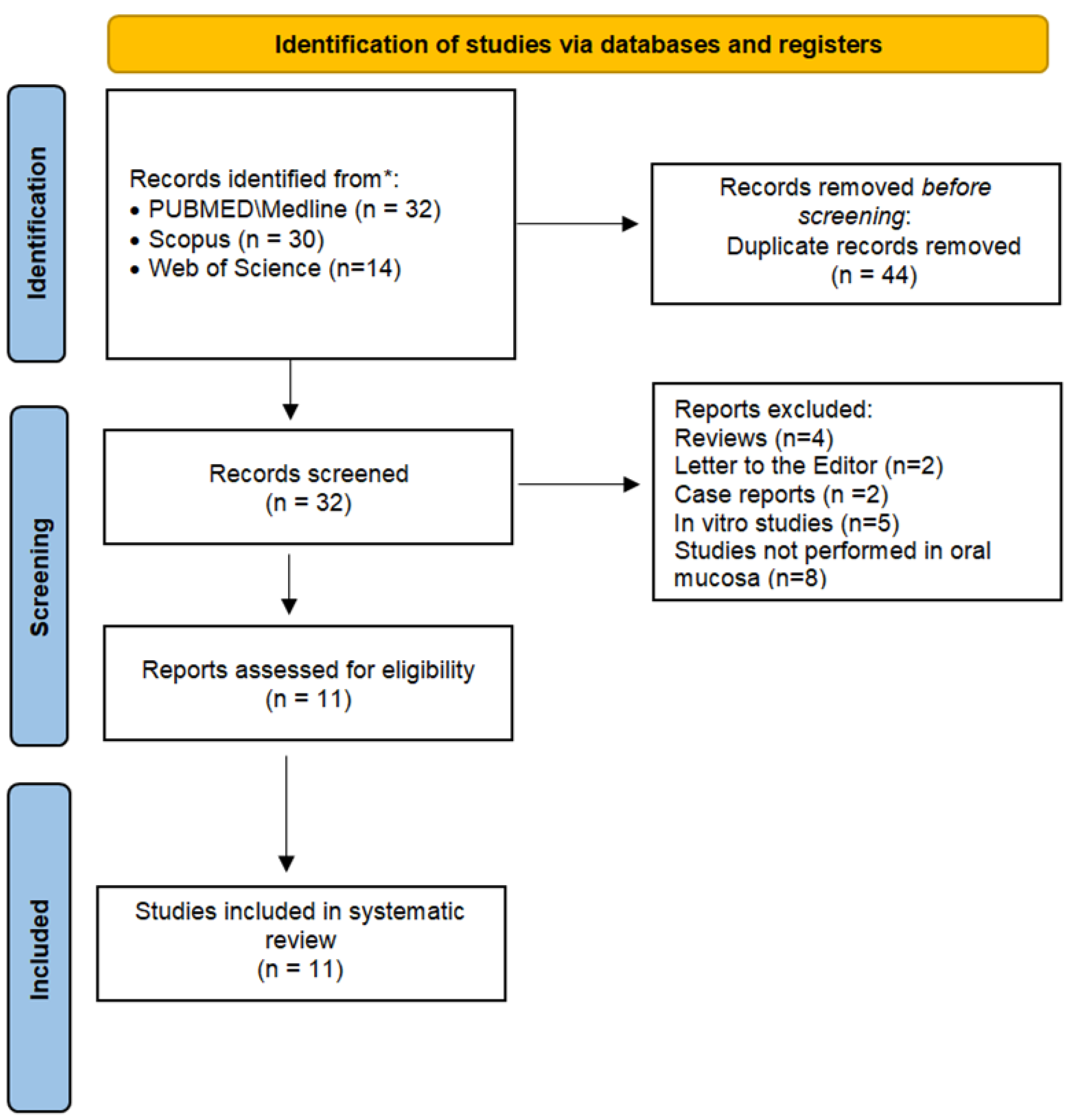 Pathophysiology 30 00045 g001