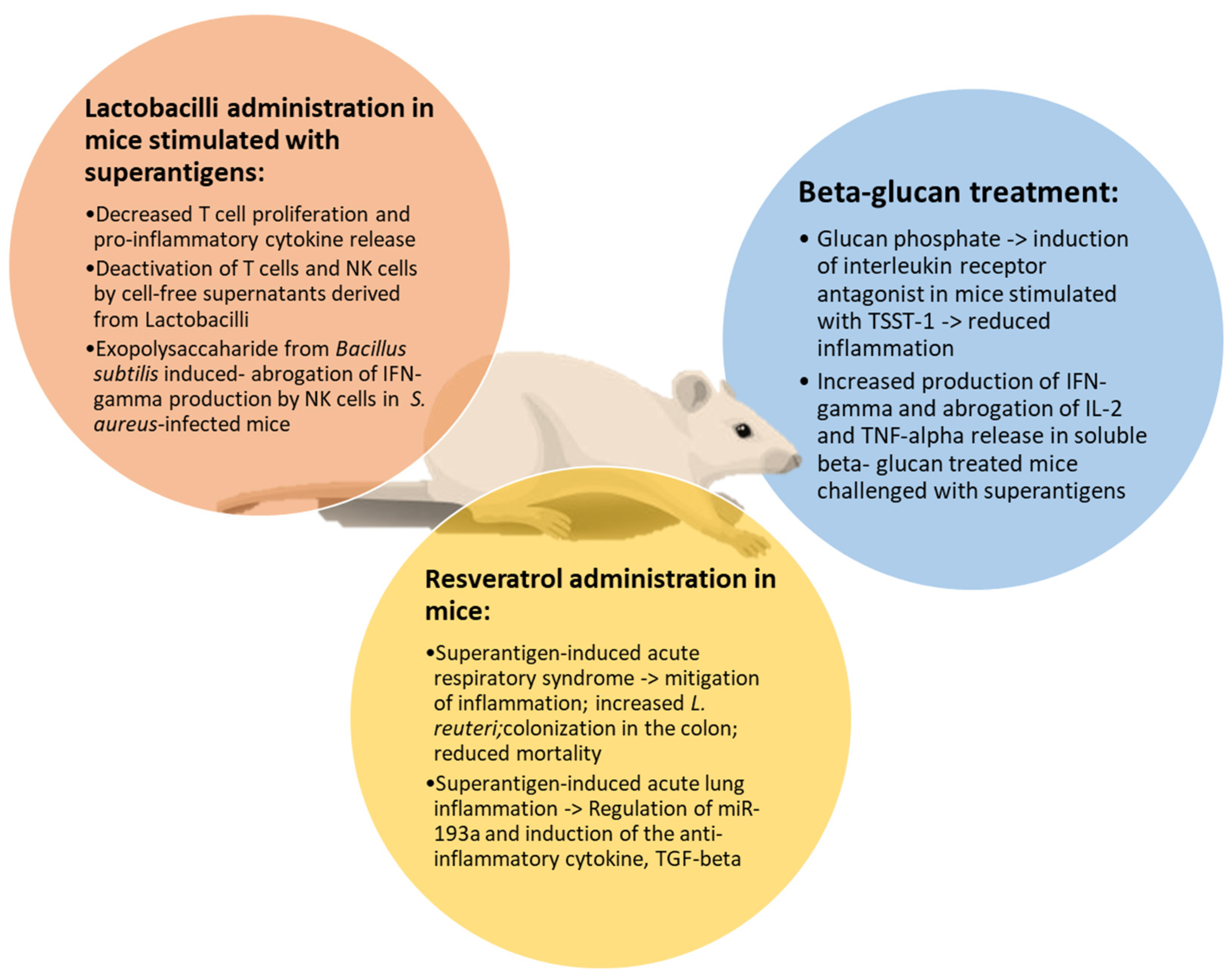 Pathophysiology 31 00002 g002 Pathophysiology 31 00002 g002