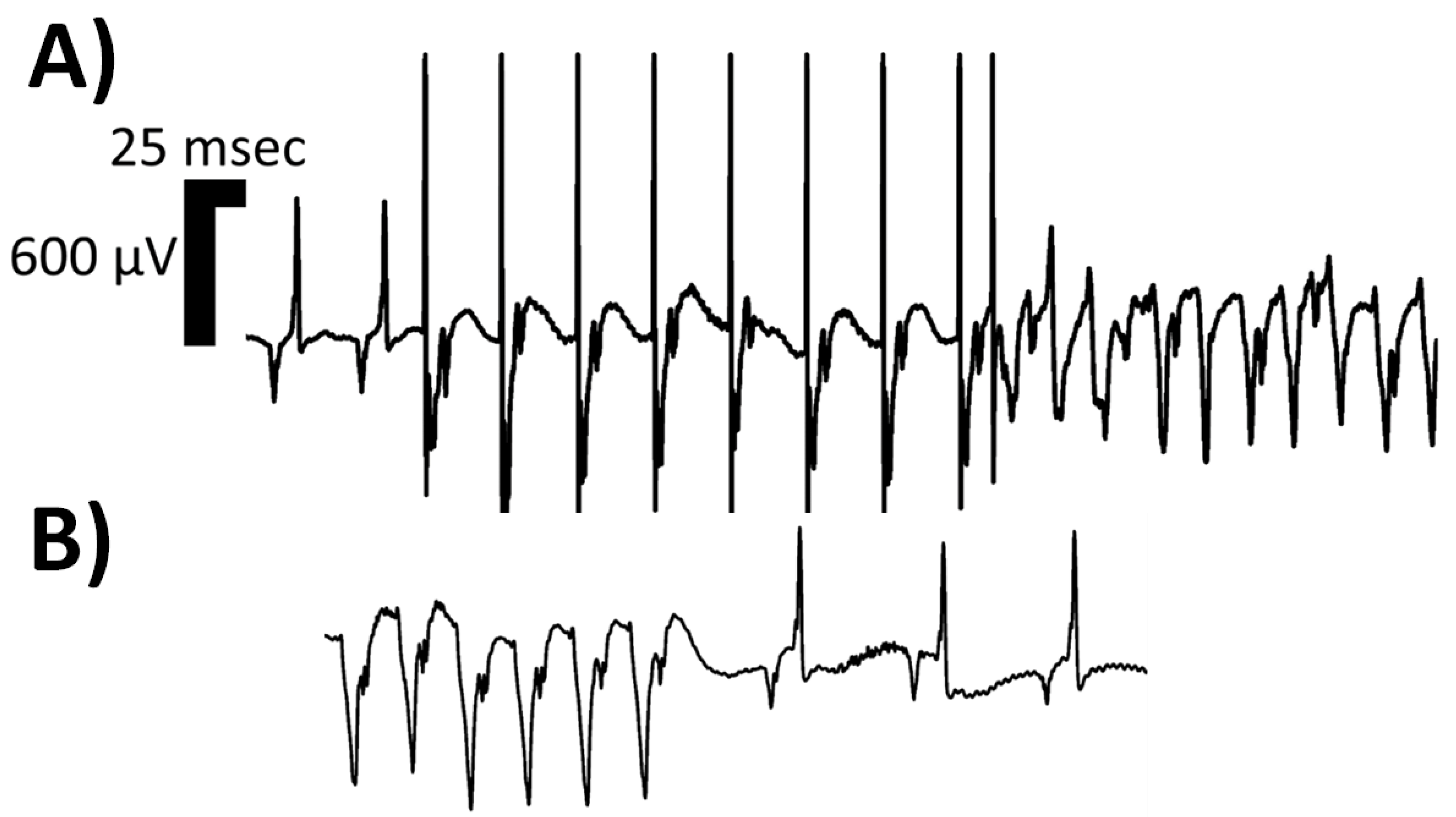 Pathophysiology 31 00003 g001 Pathophysiology 31 00003 g001