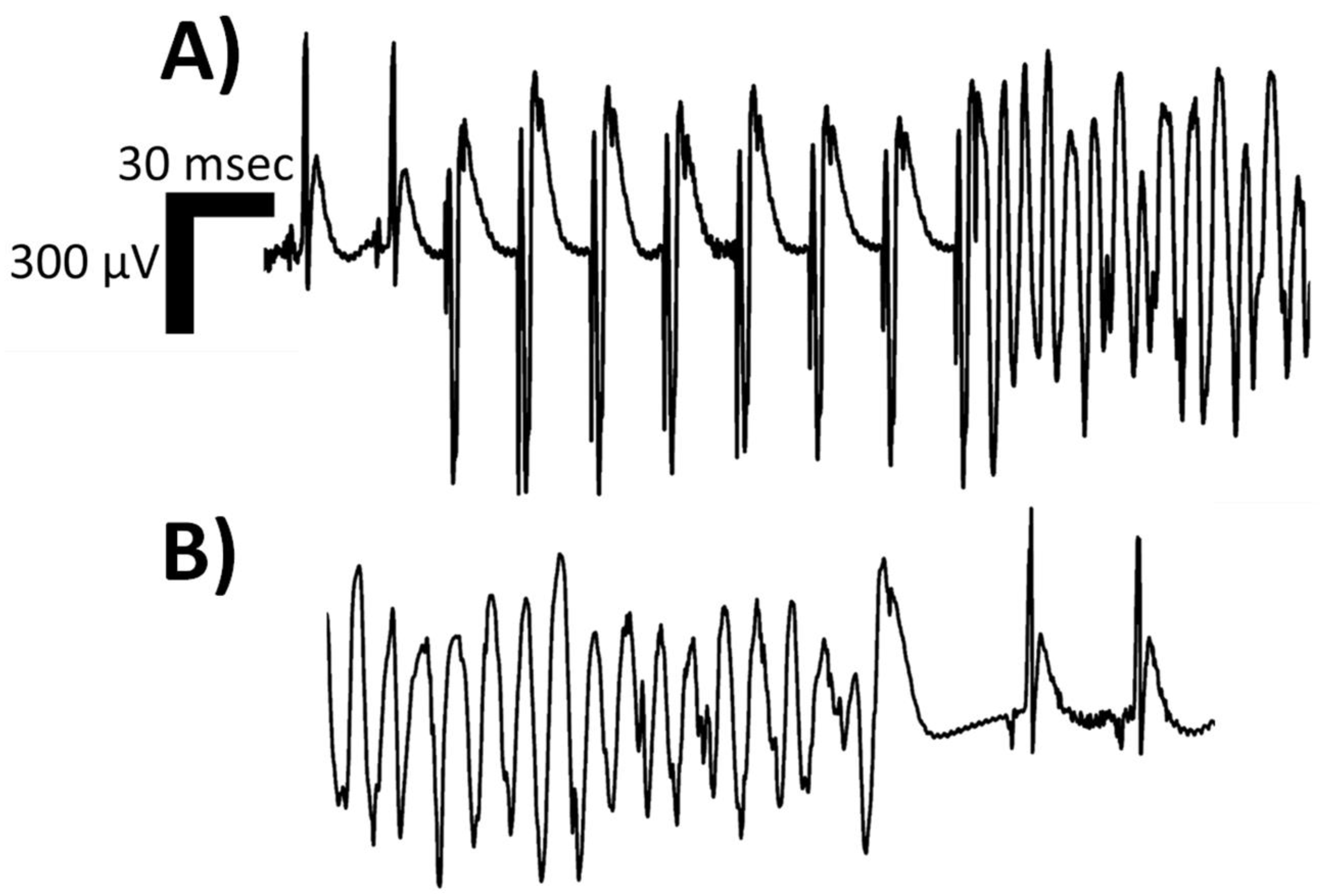 Pathophysiology 31 00003 g002 Pathophysiology 31 00003 g002