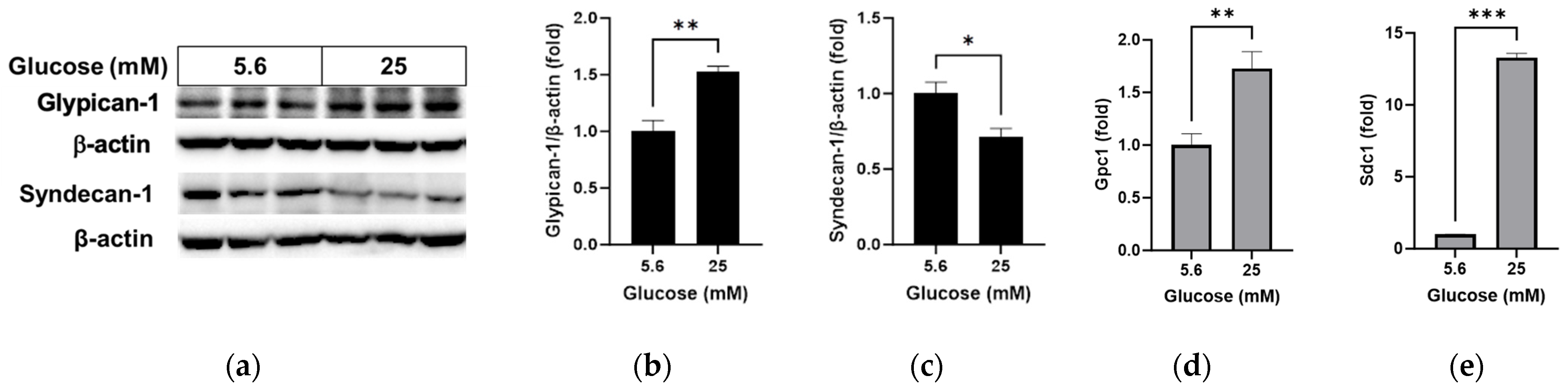 Pathophysiology 31 00007 g001 Pathophysiology 31 00007 g001