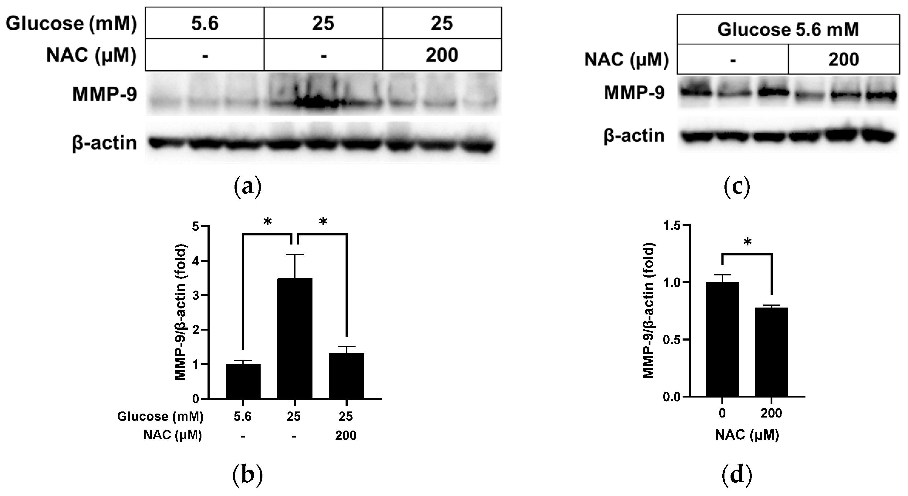 Pathophysiology 31 00007 g006 Pathophysiology 31 00007 g006