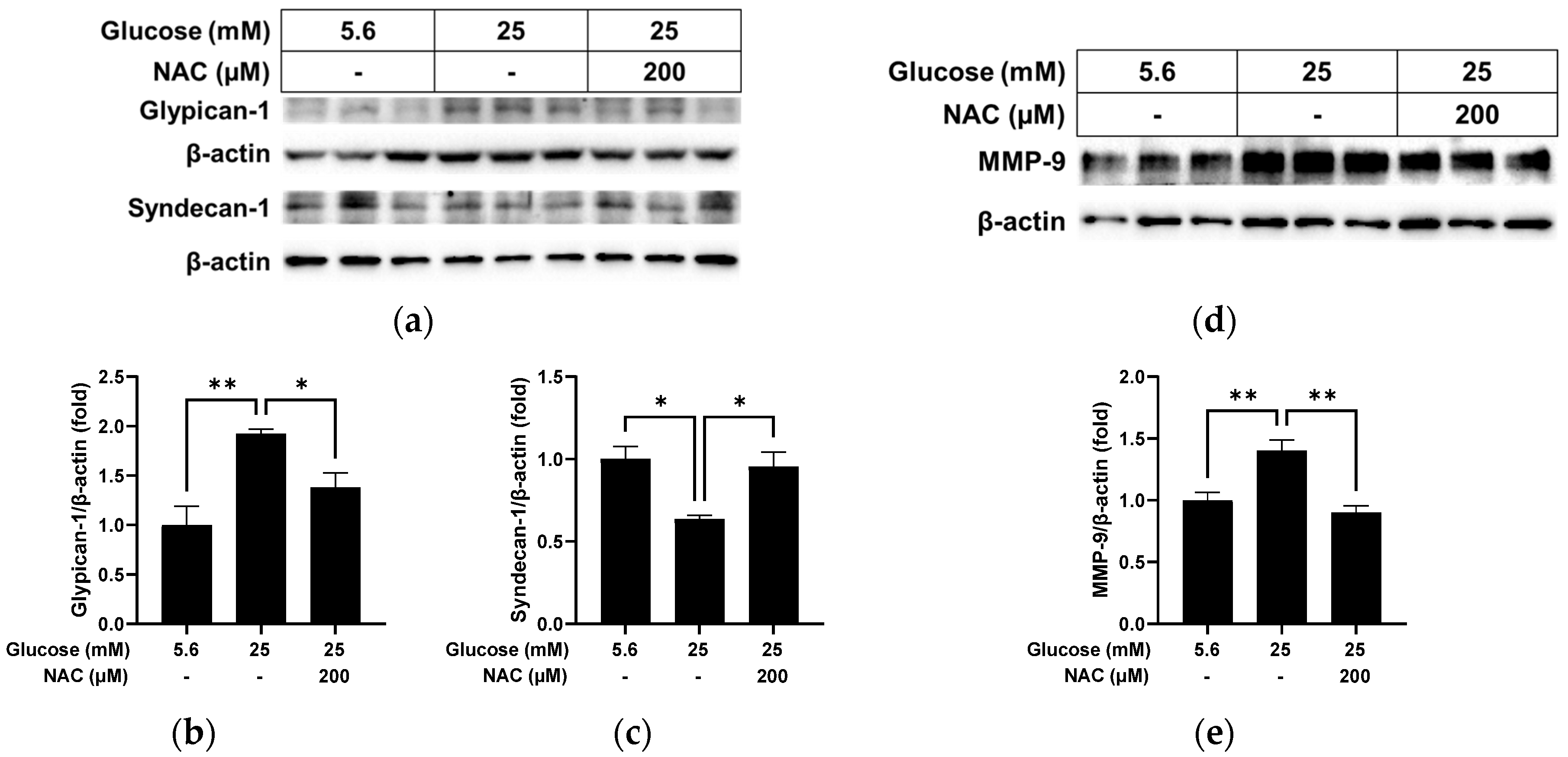 Pathophysiology 31 00007 g007 Pathophysiology 31 00007 g007