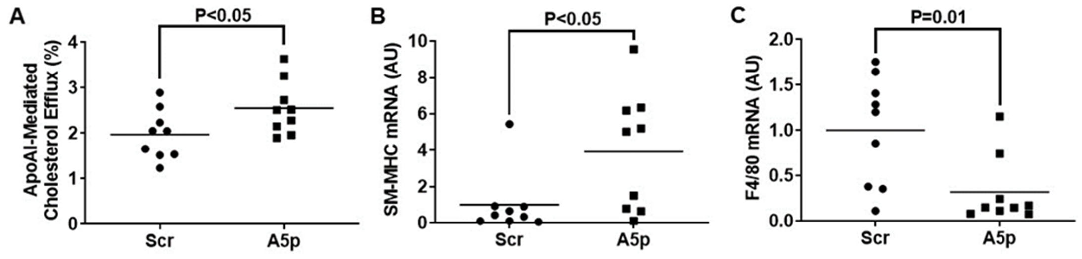 Pathophysiology 31 00009 g003 Pathophysiology 31 00009 g003