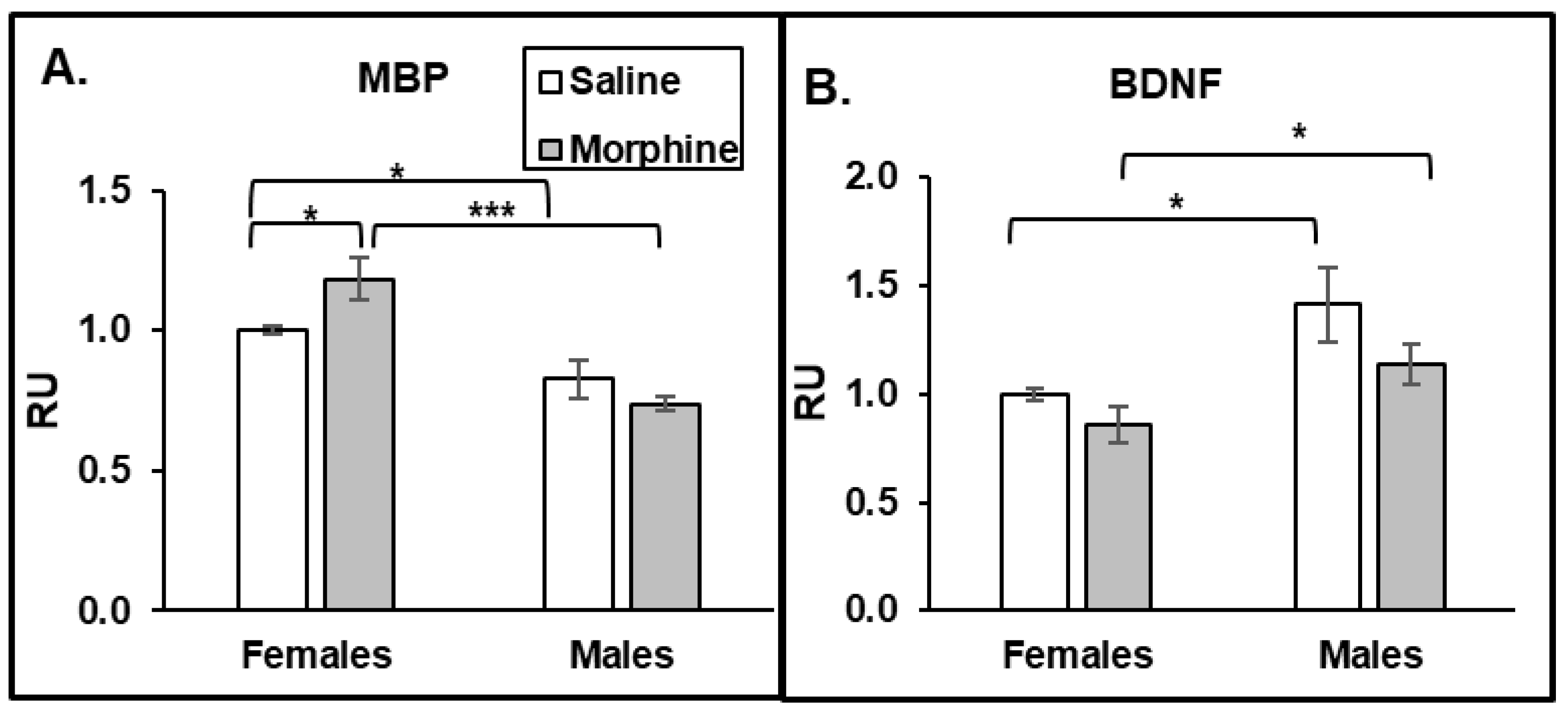 Pathophysiology 31 00012 g005 Pathophysiology 31 00012 g005