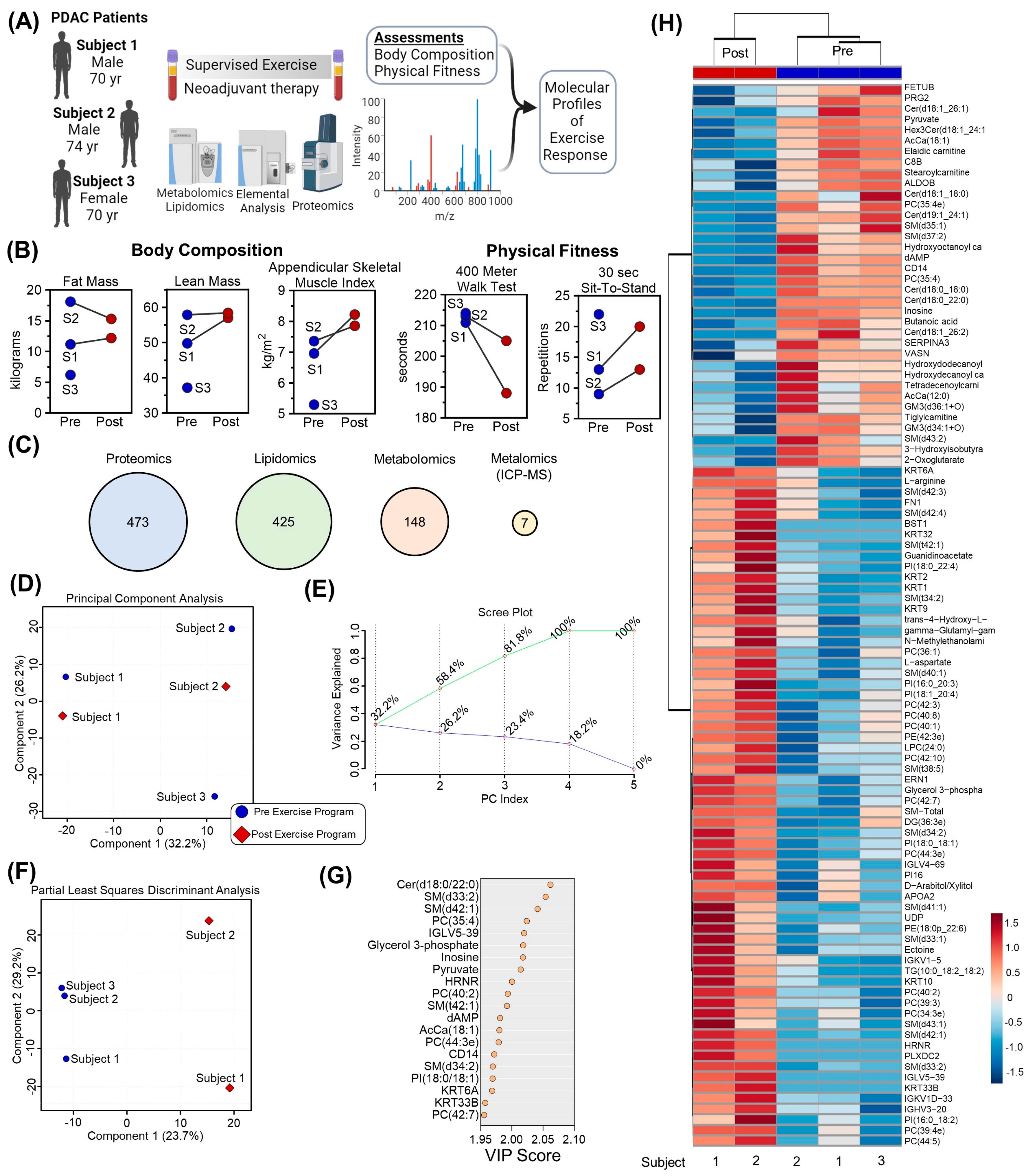 Pathophysiology 31 00013 g001