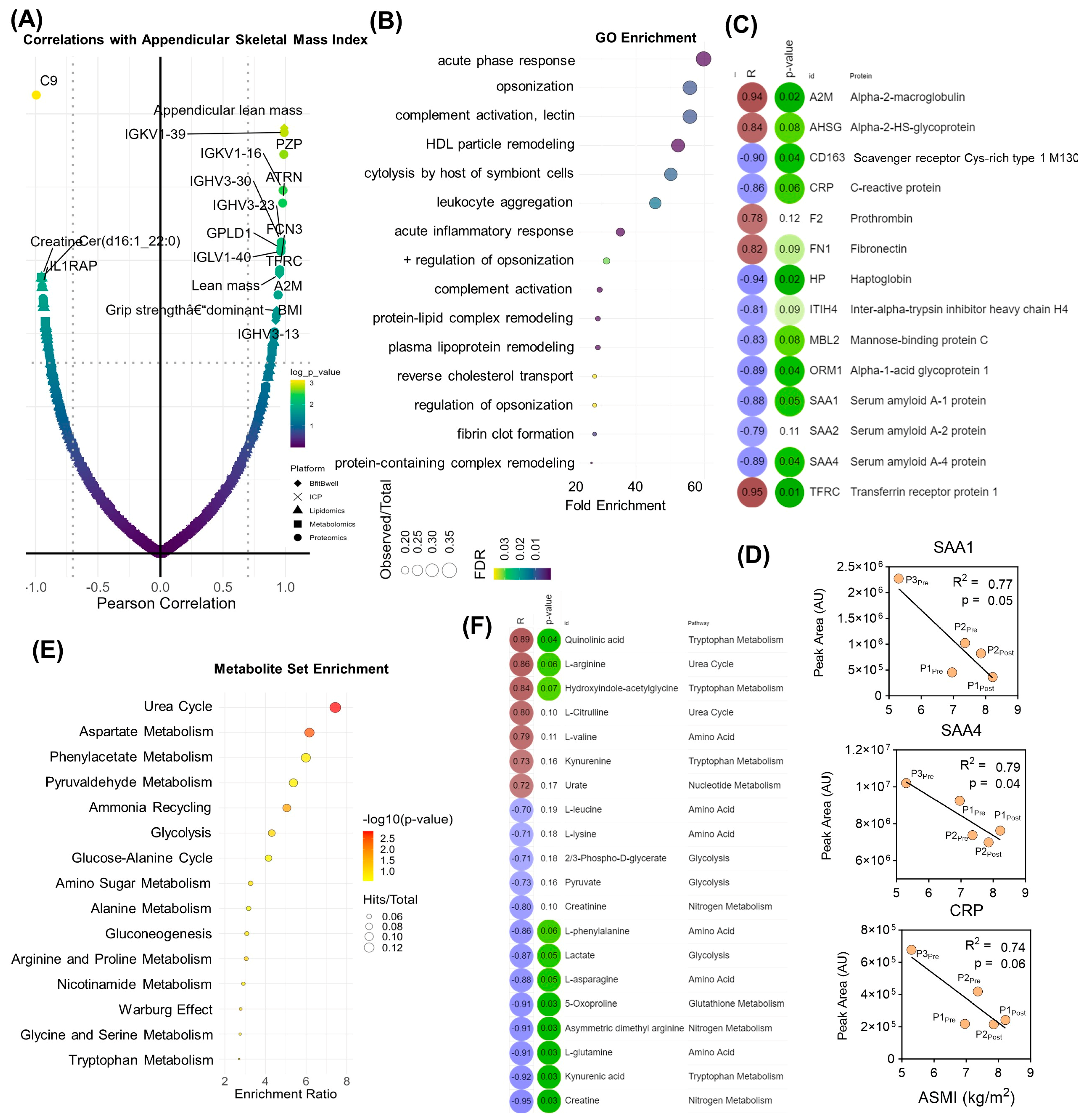 Pathophysiology 31 00013 g004