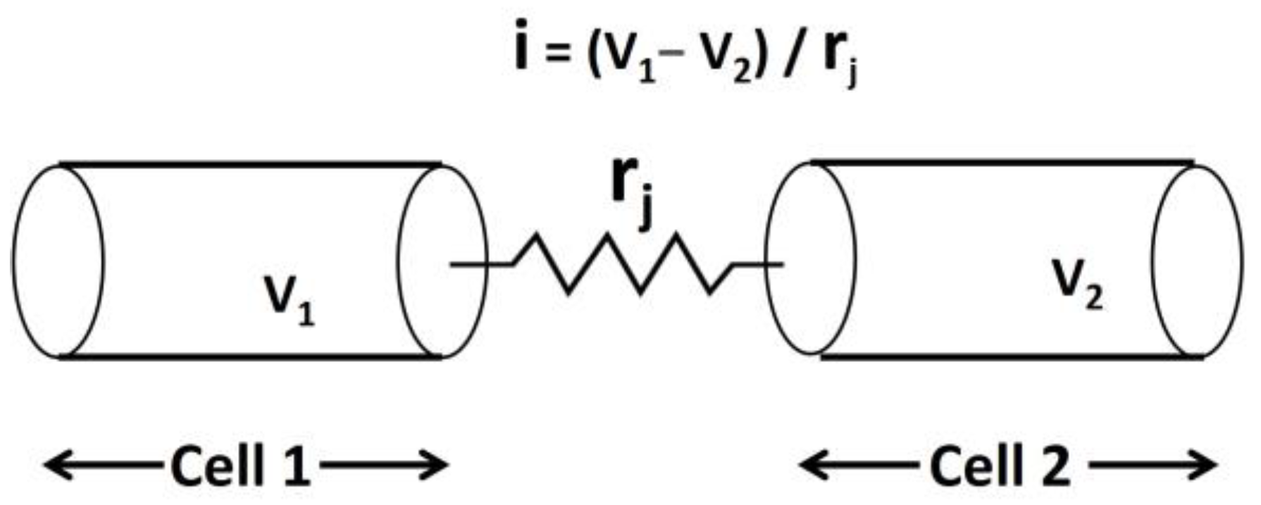 Pathophysiology 31 00018 g003 Pathophysiology 31 00018 g003