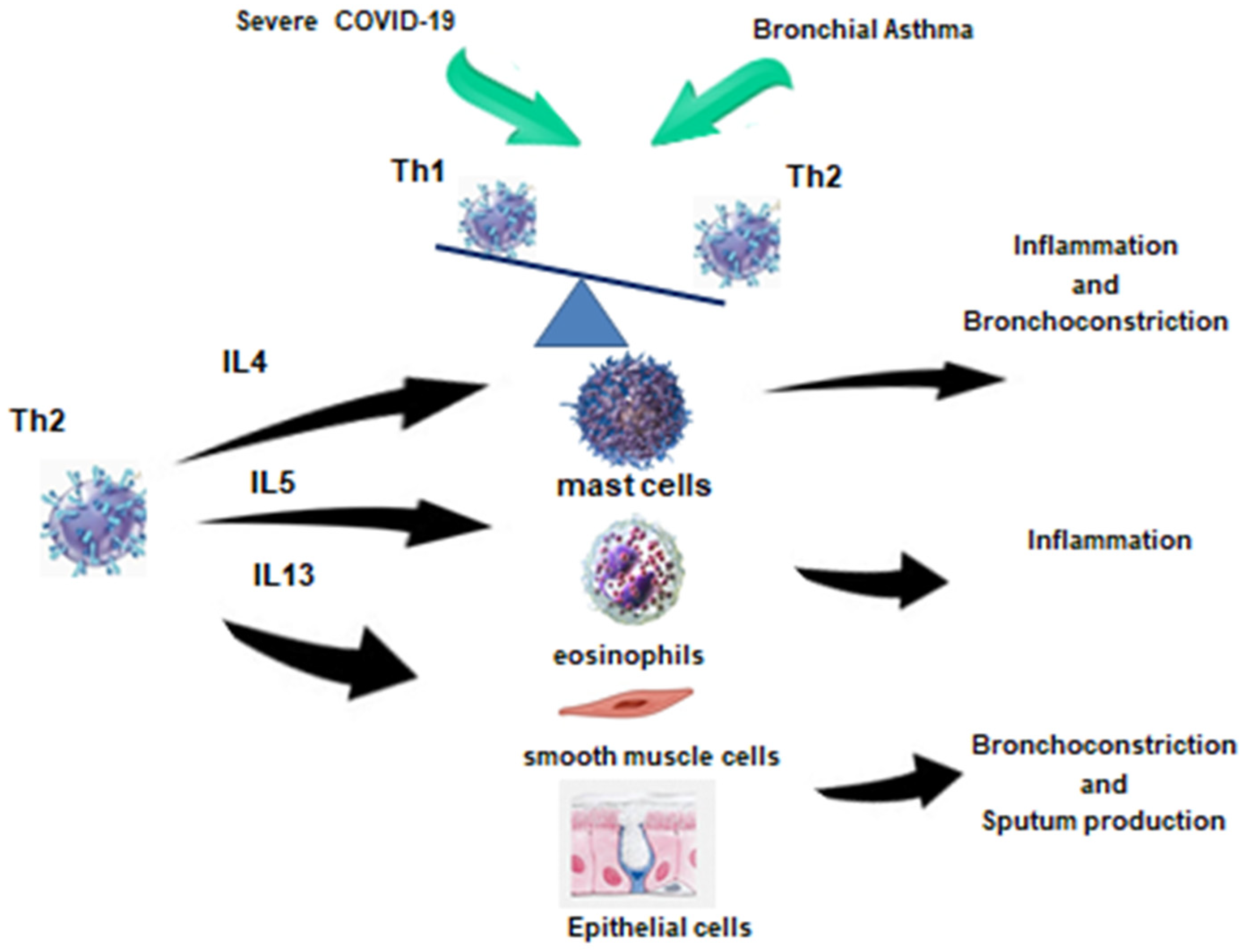 Pathophysiology 31 00020 g002