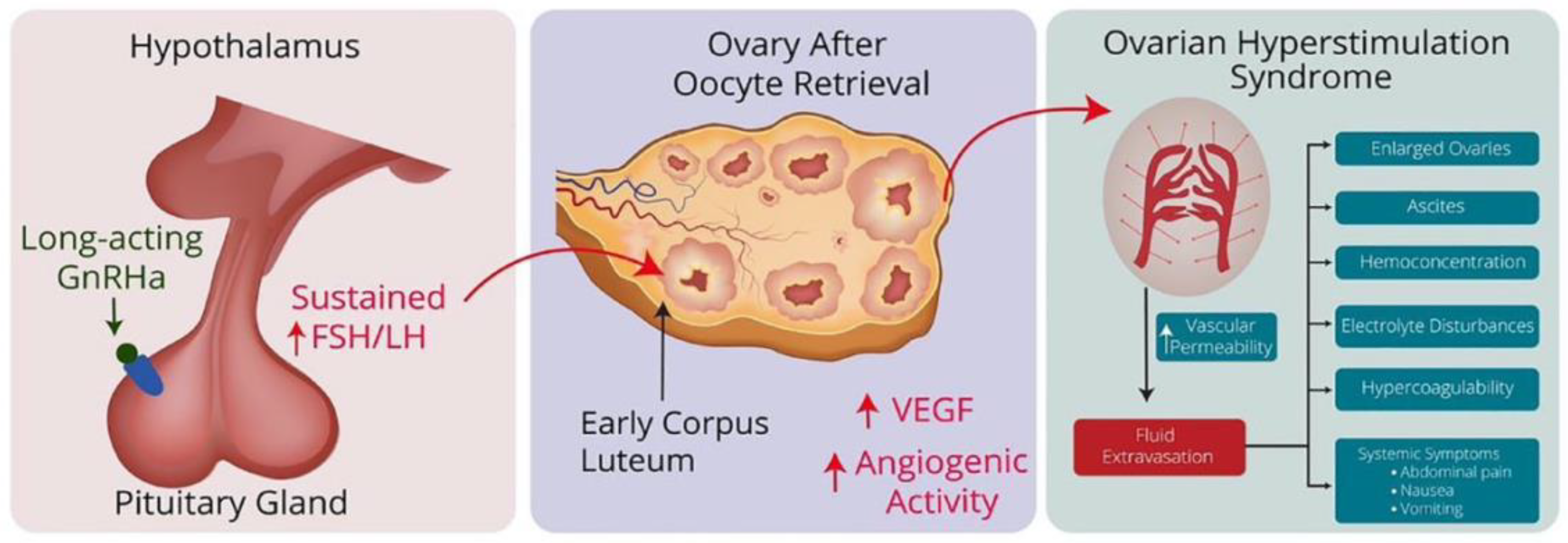 Pathophysiology 31 00021 g001