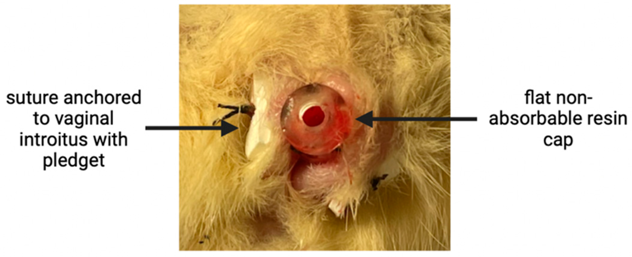 Pathophysiology 31 00022 g002