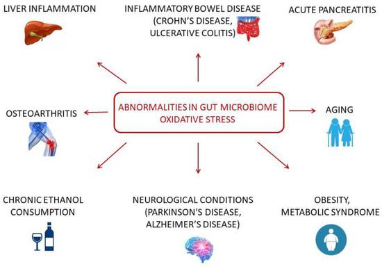 glutathione benefits for crohn's disease Gut Microbiome Interactions with Oxidative Stress: Mechanisms and Consequences Health @hkvitals Glutathione Tablets, Use Color:Ocean pets