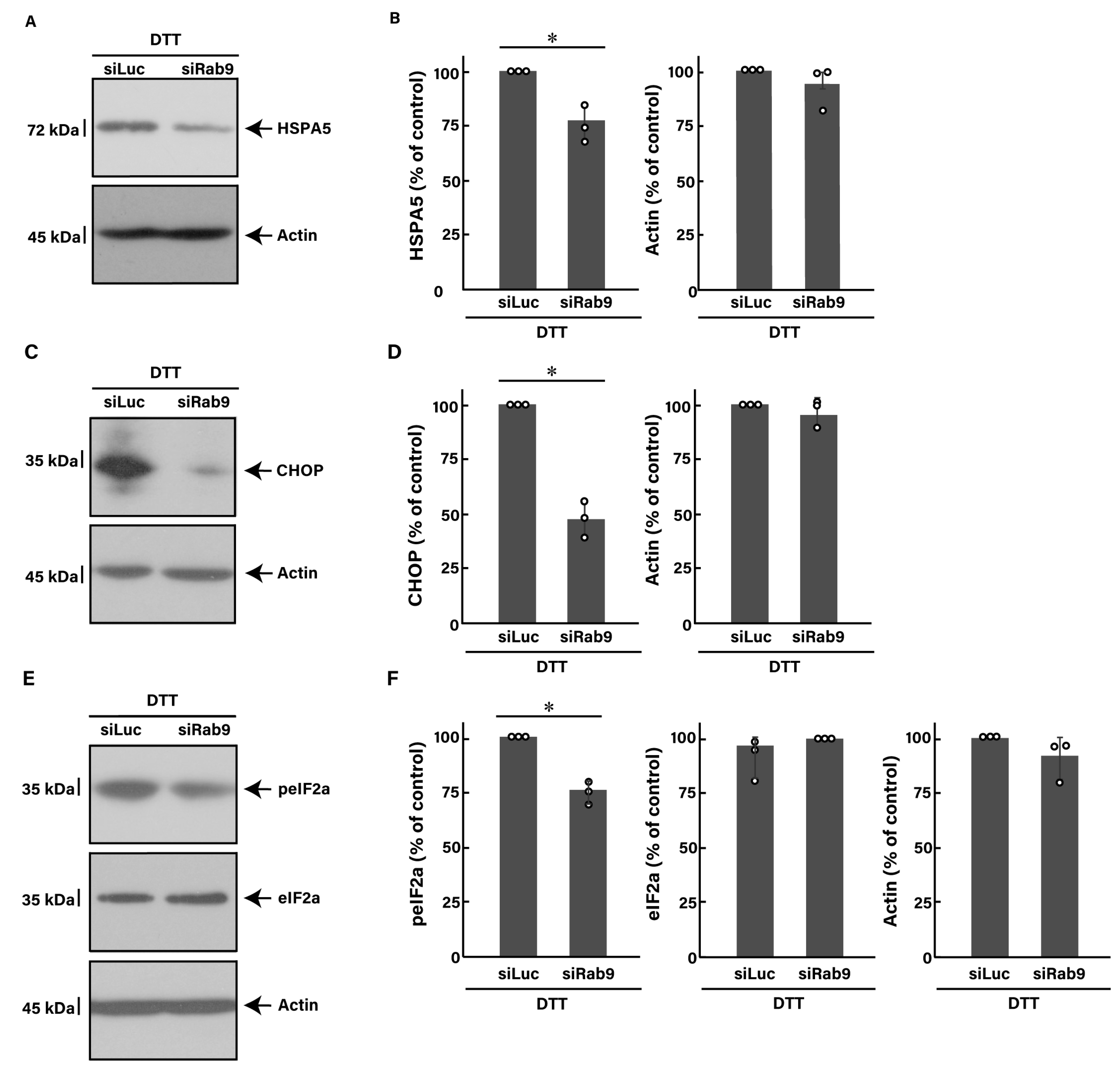 Pathophysiology 31 00032 g005