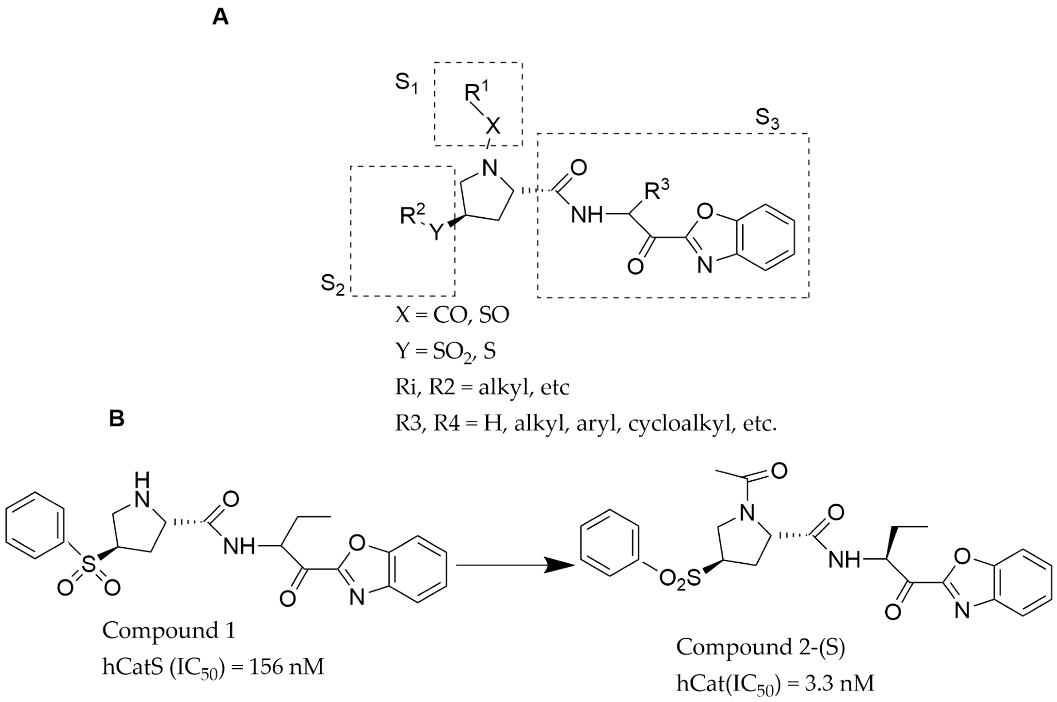 Pathophysiology 31 00035 g002
