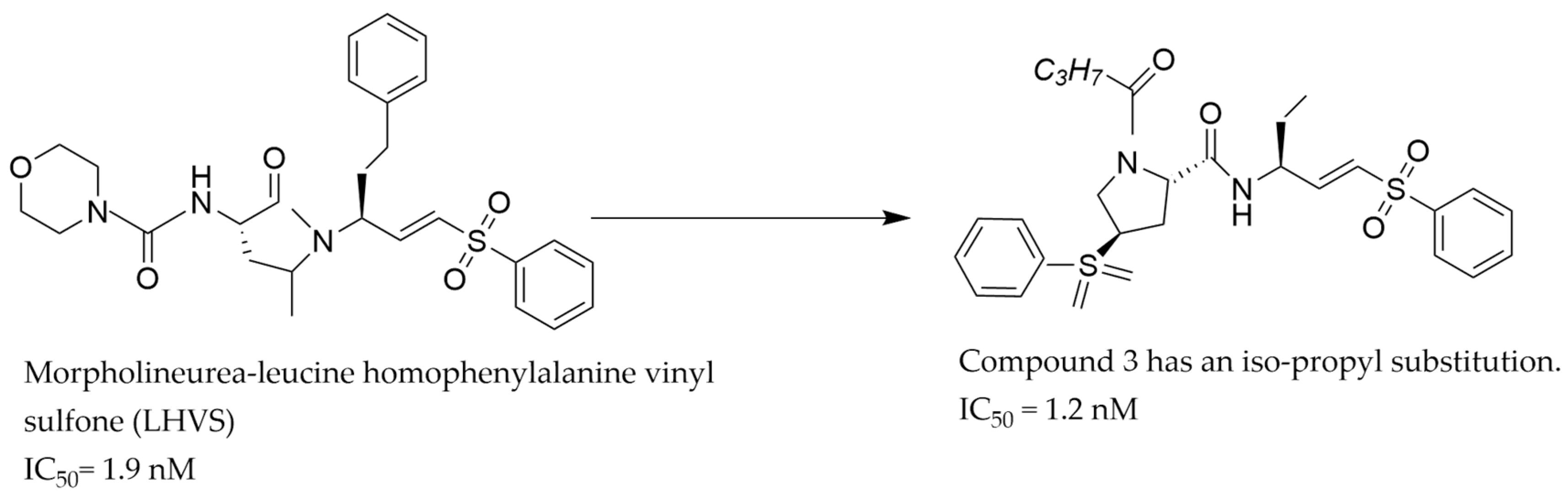 Pathophysiology 31 00035 g003