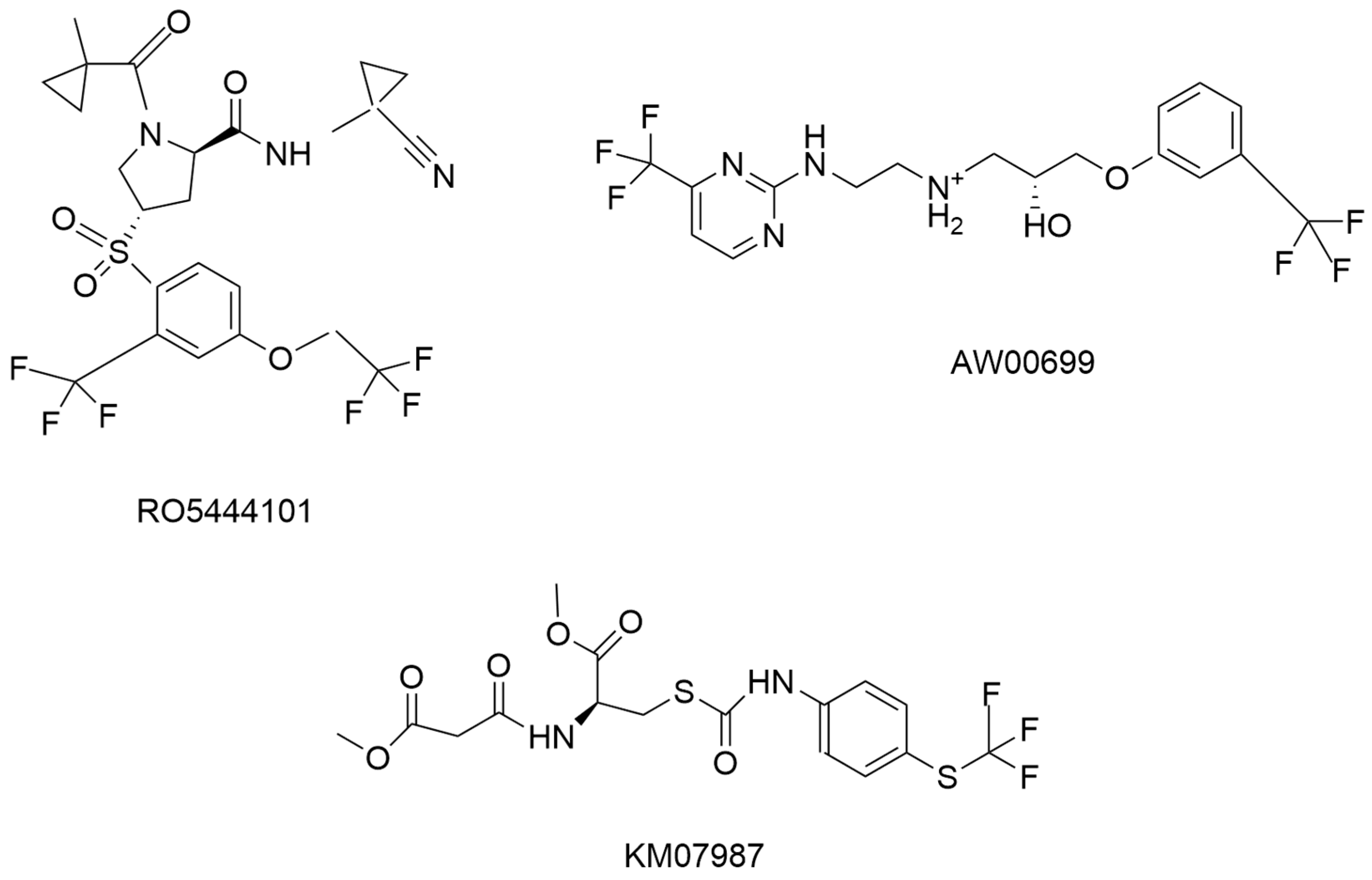 Pathophysiology 31 00035 g007