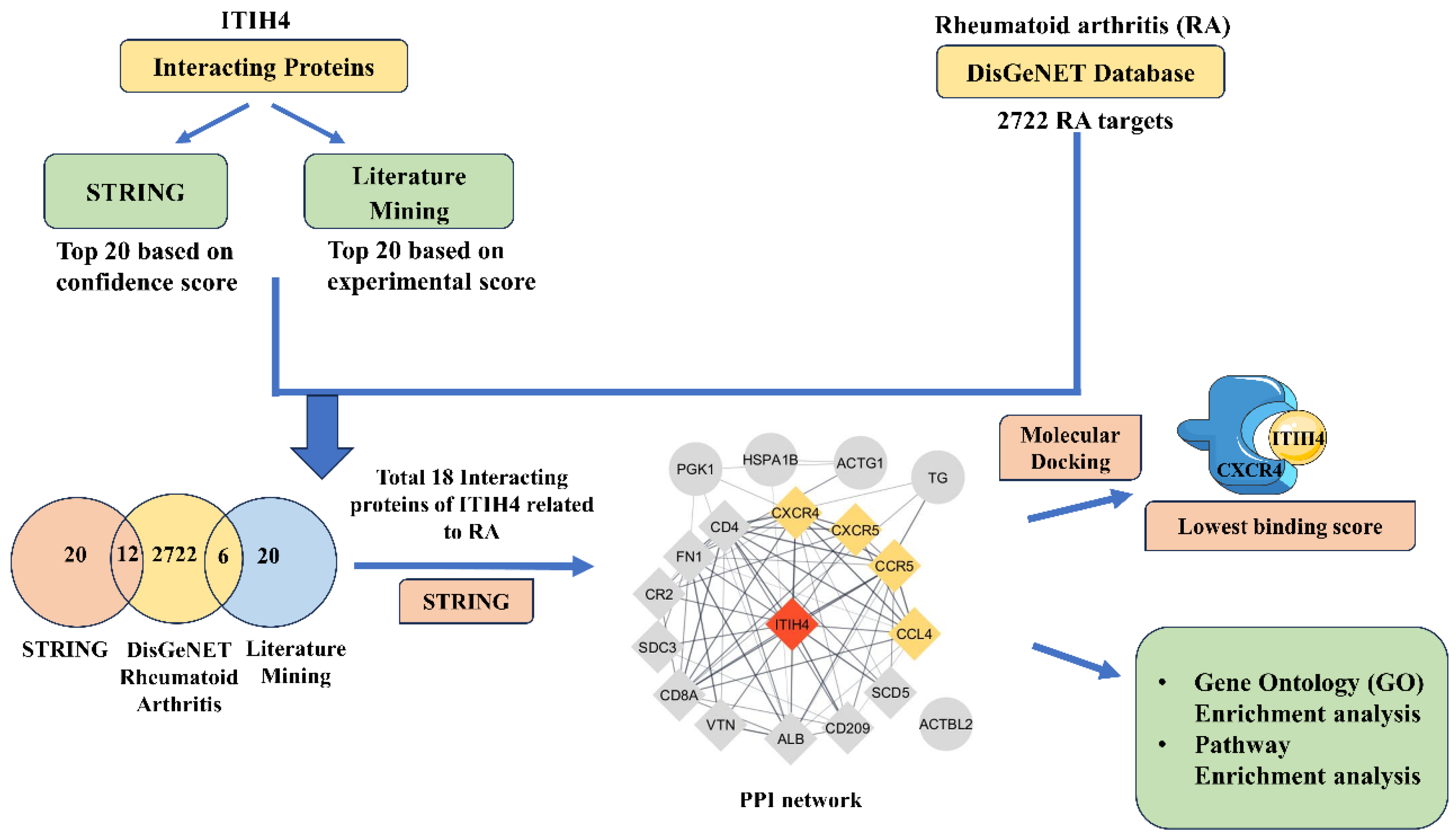 Pathophysiology 31 00038 g001