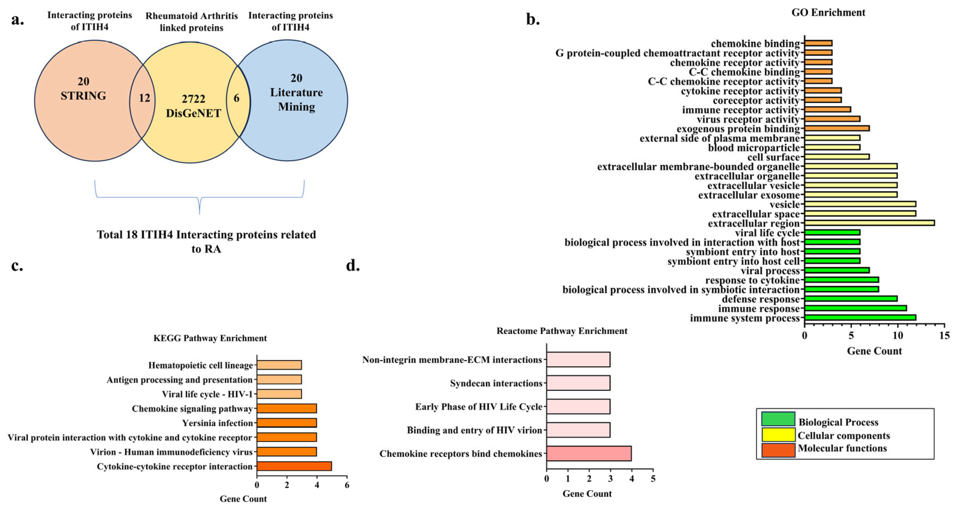 Pathophysiology 31 00038 g002