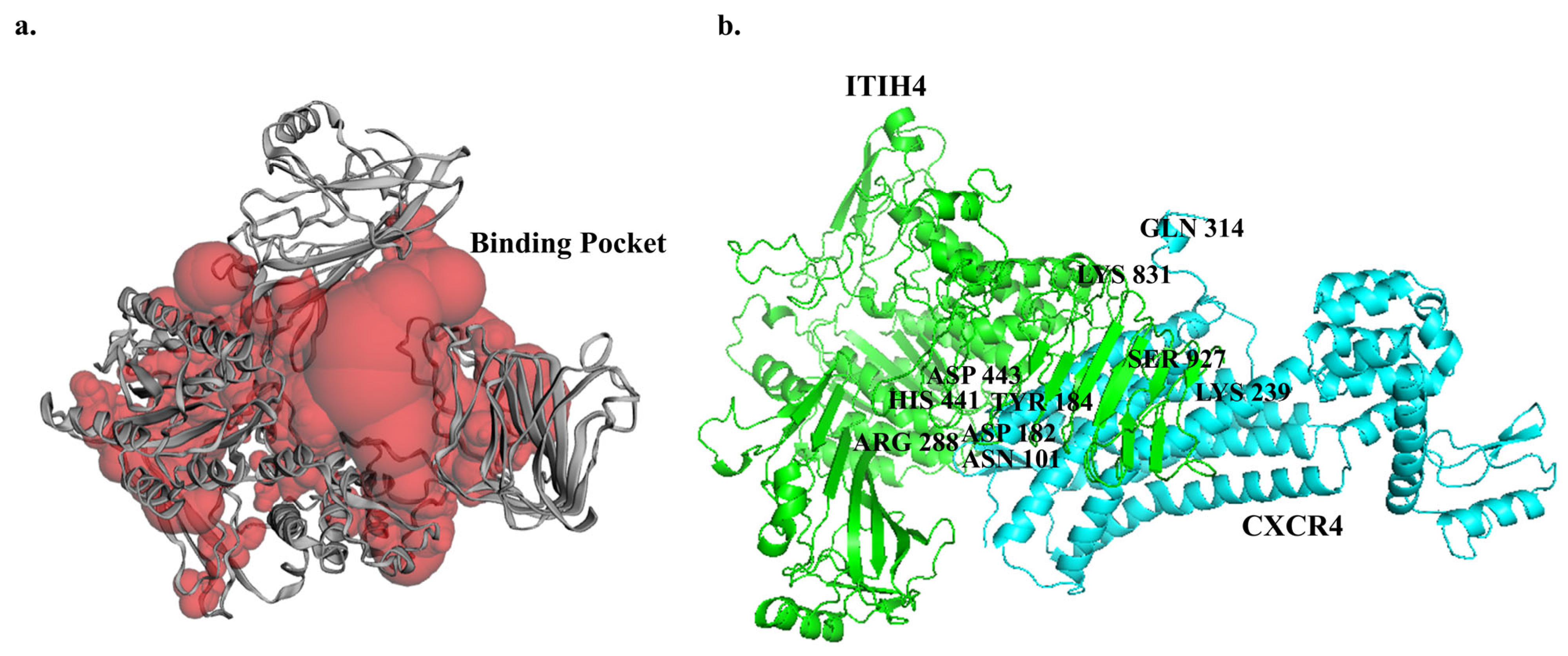 Pathophysiology 31 00038 g004