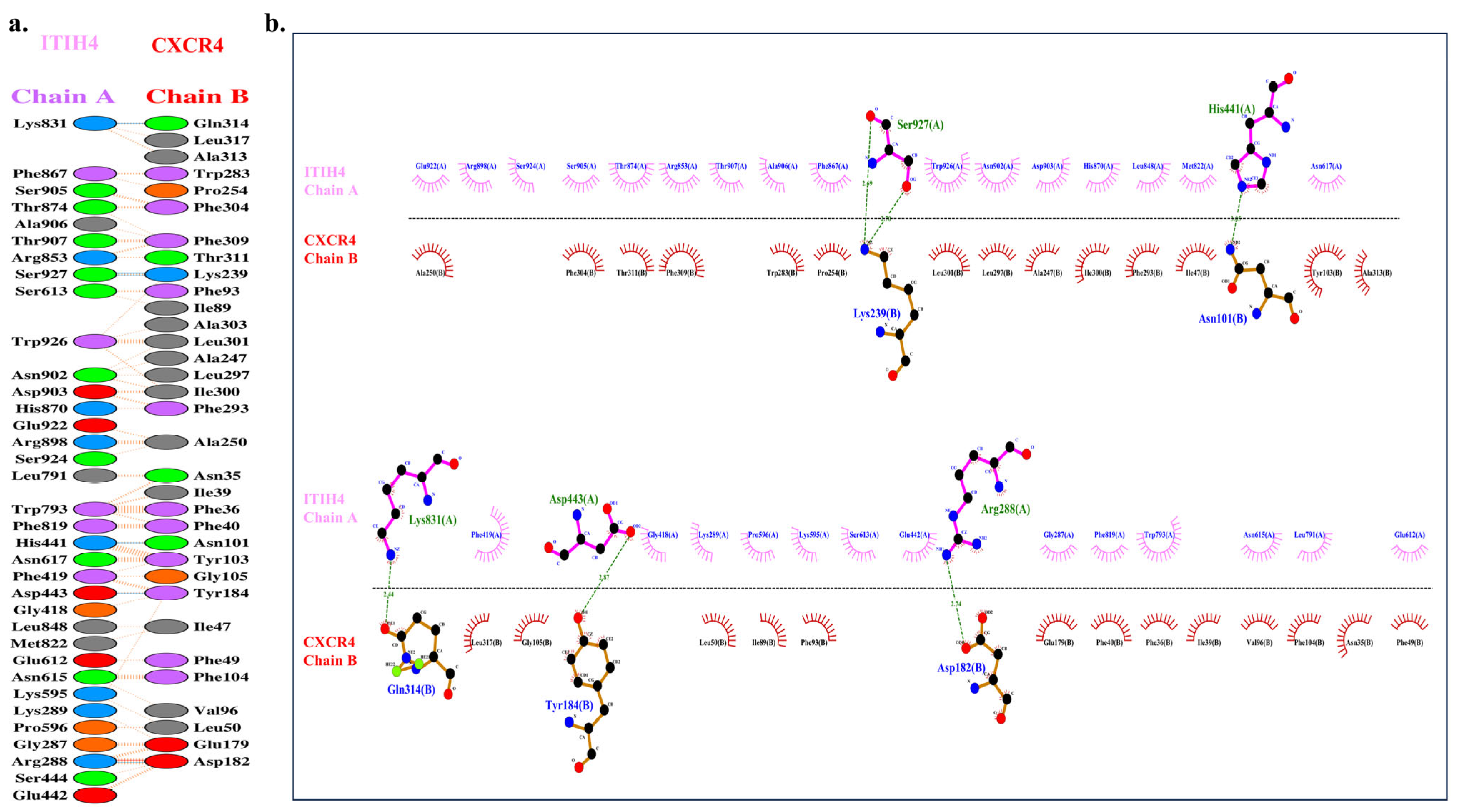 Pathophysiology 31 00038 g005