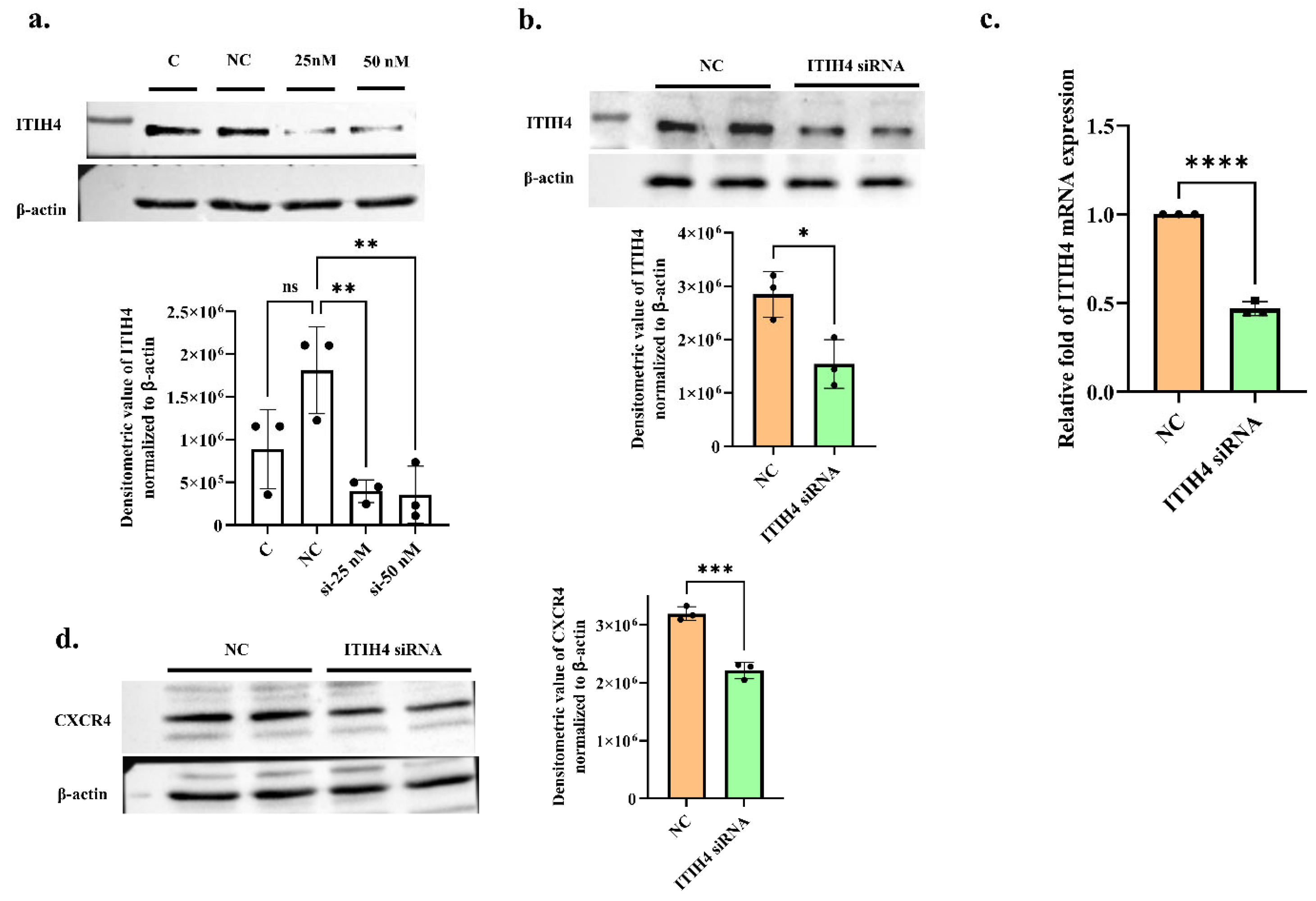 Pathophysiology 31 00038 g006