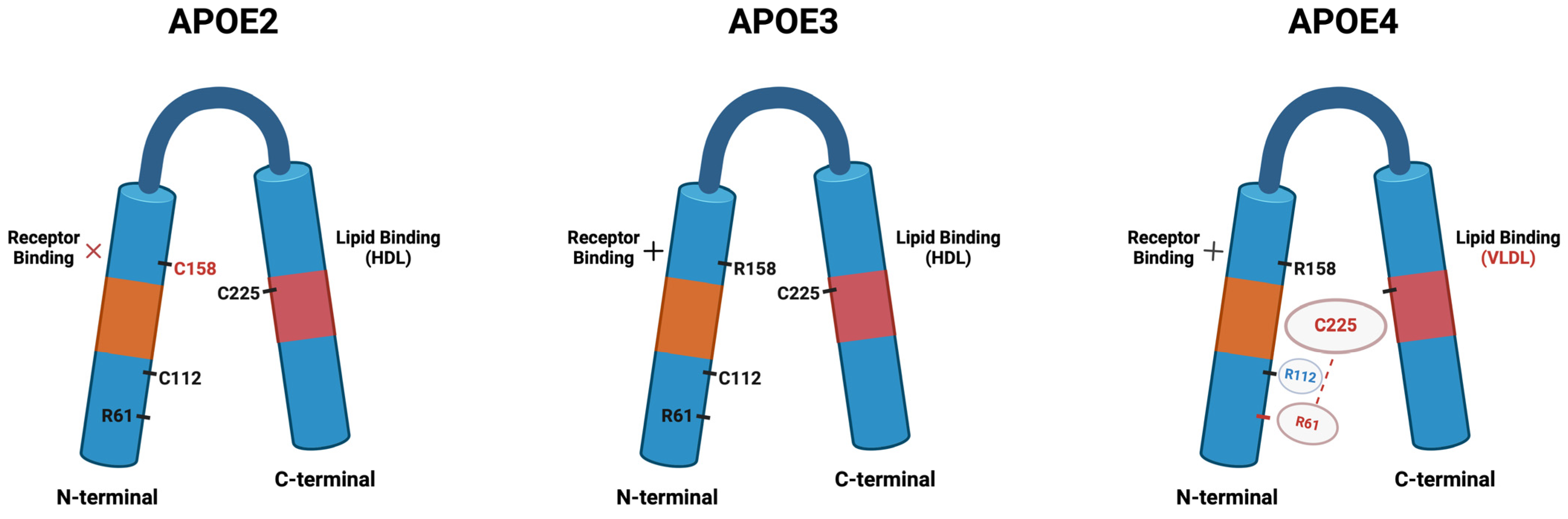 Pathophysiology 31 00040 g001 Pathophysiology 31 00040 g001