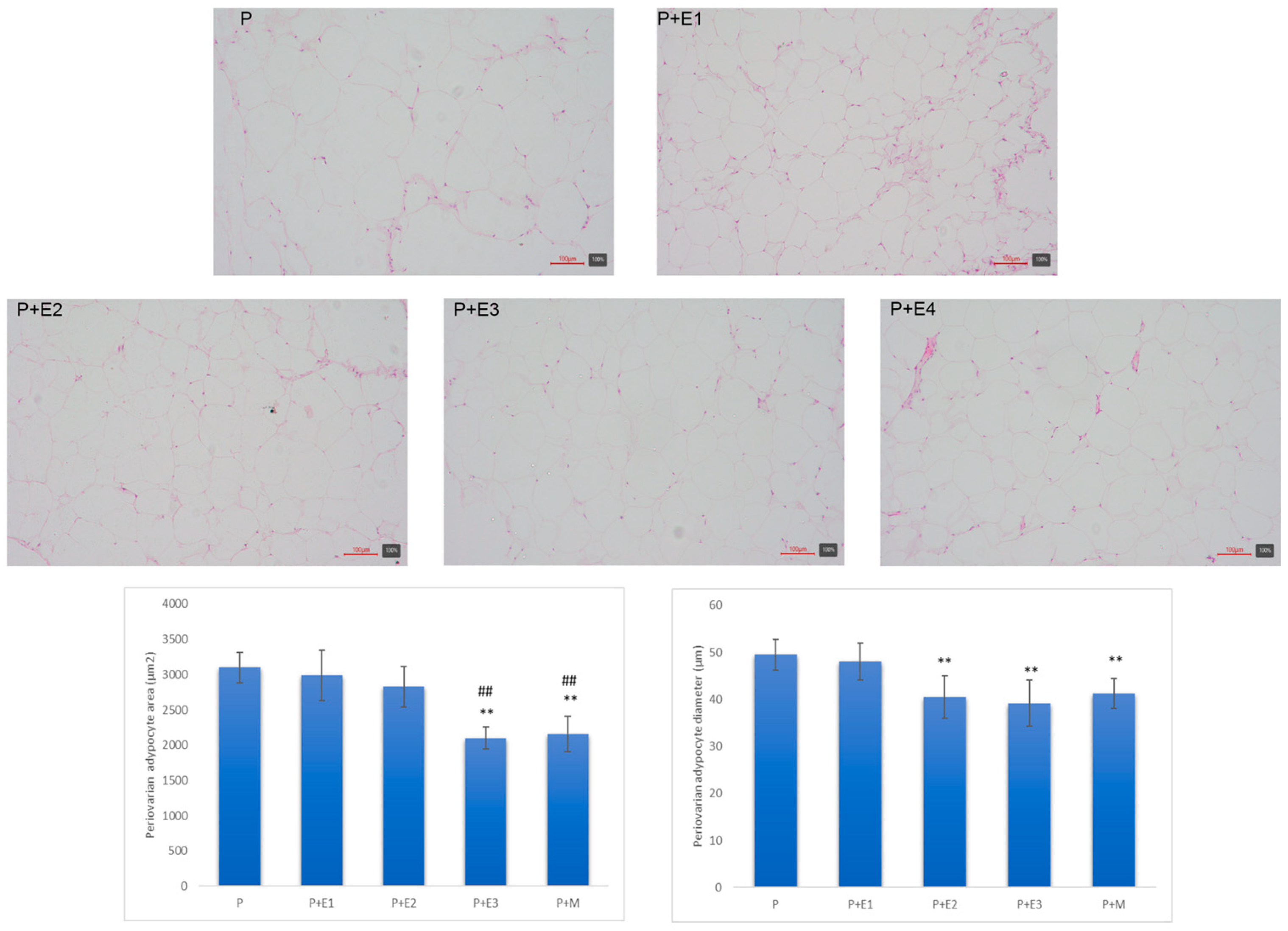 Pathophysiology 31 00041 g012 Pathophysiology 31 00041 g012