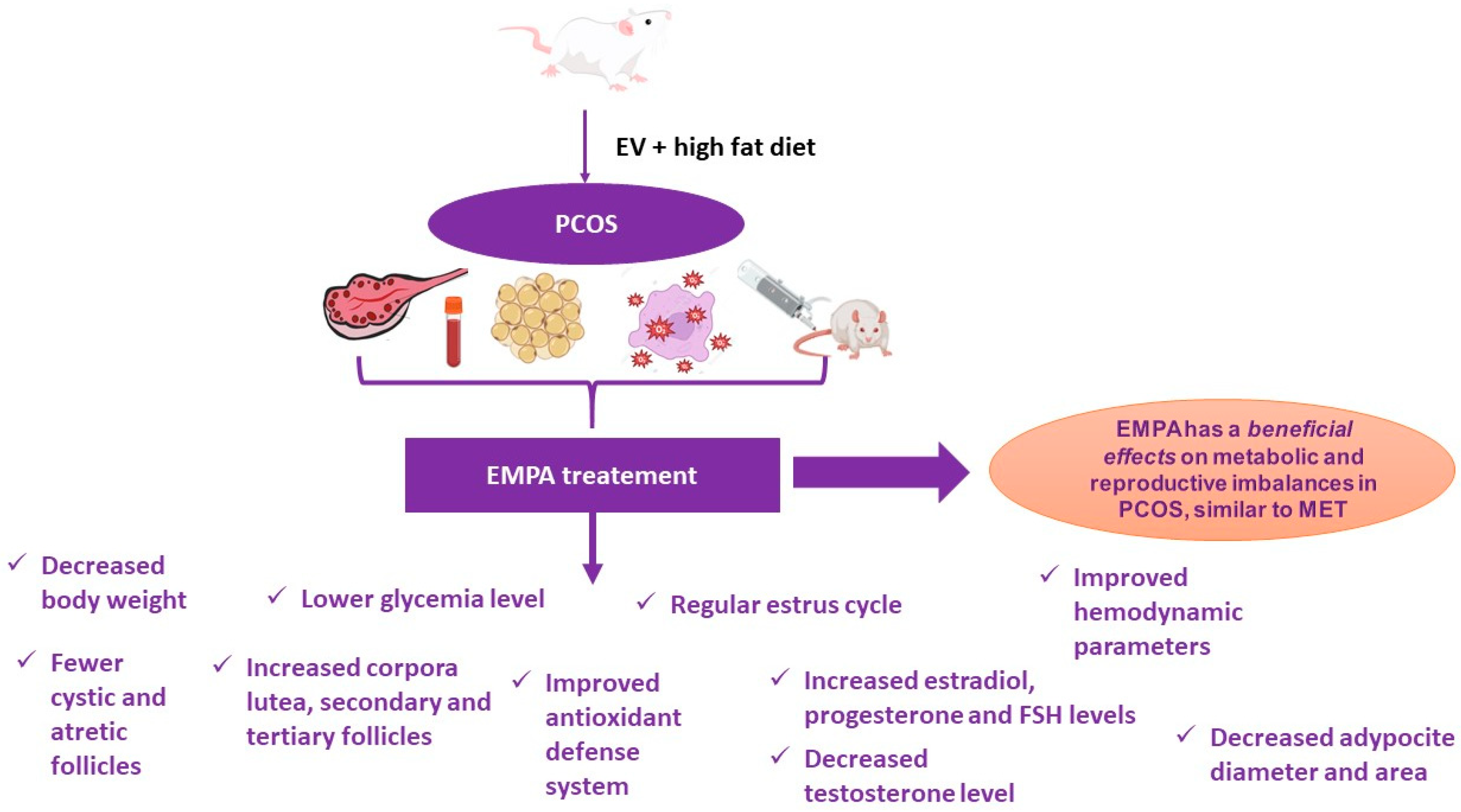 Pathophysiology 31 00041 sch001 Pathophysiology 31 00041 sch001