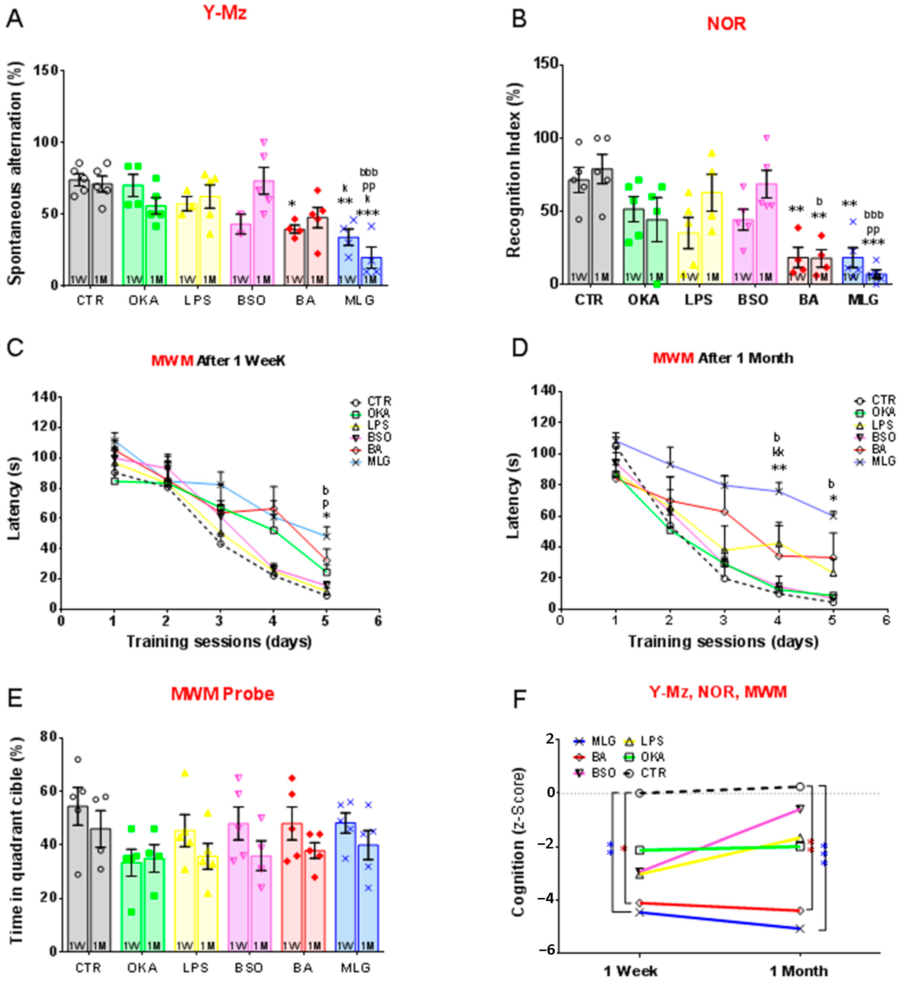 Pathophysiology 31 00047 g002