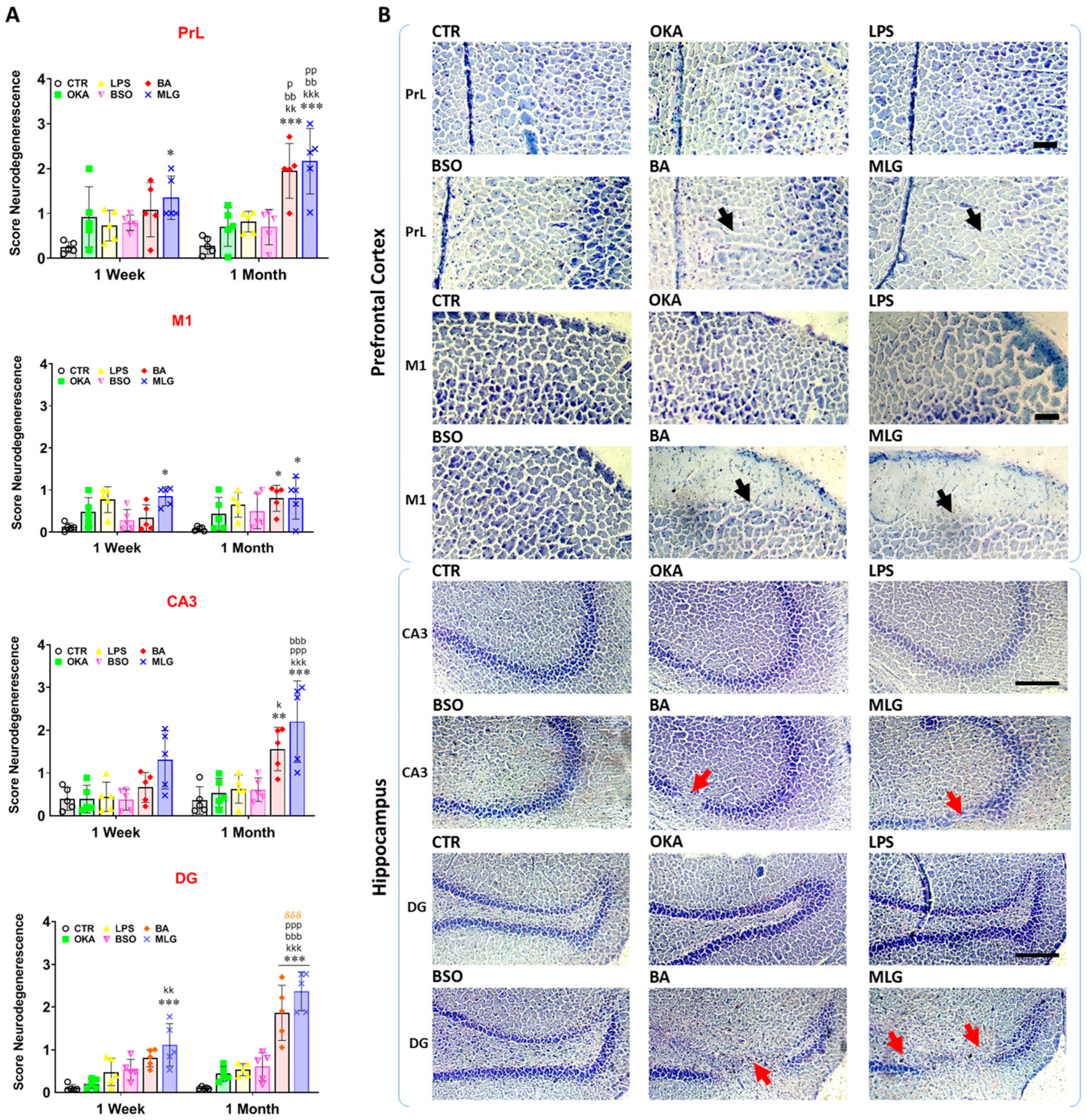 Pathophysiology 31 00047 g004