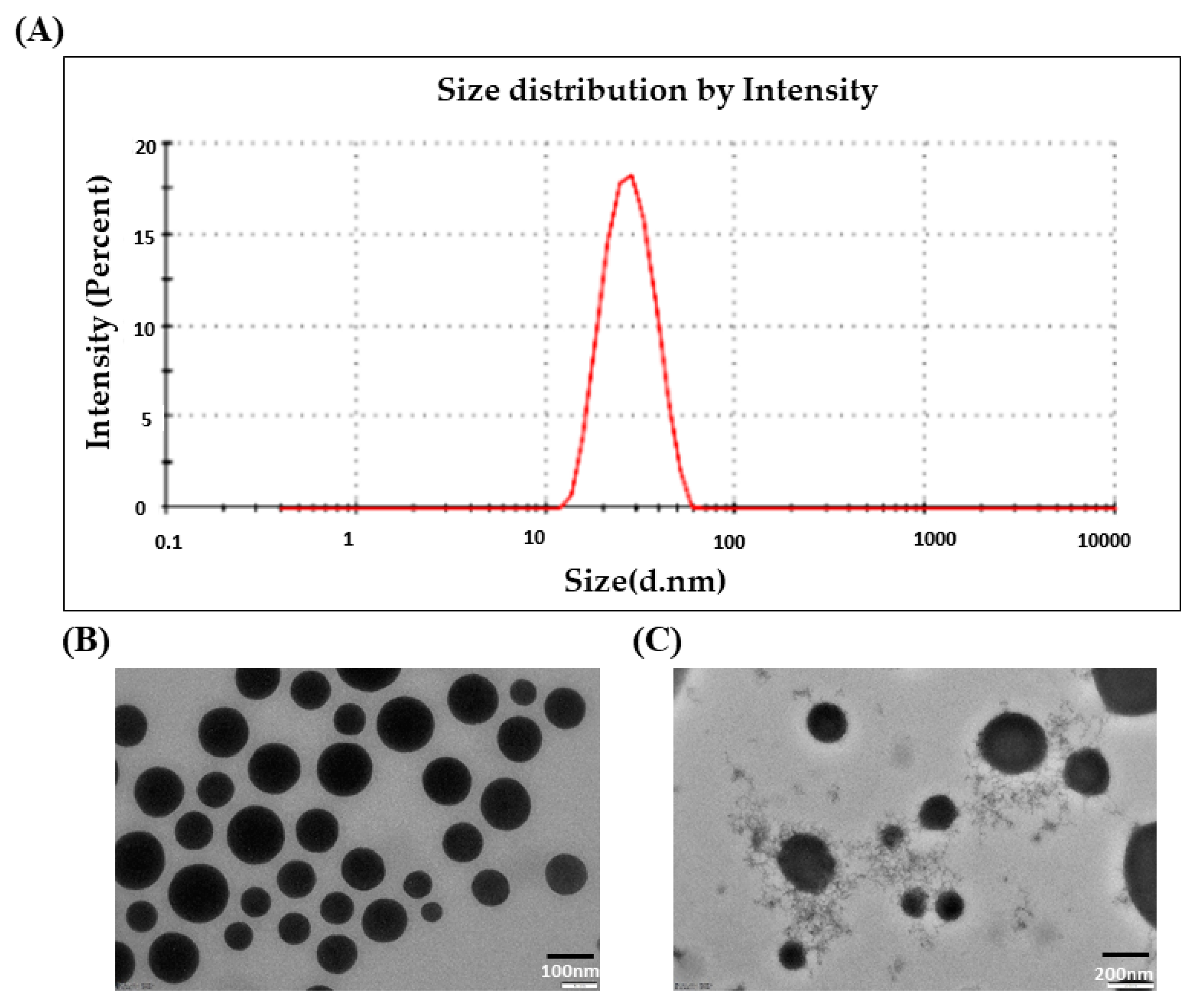 Pathophysiology 31 00049 g002