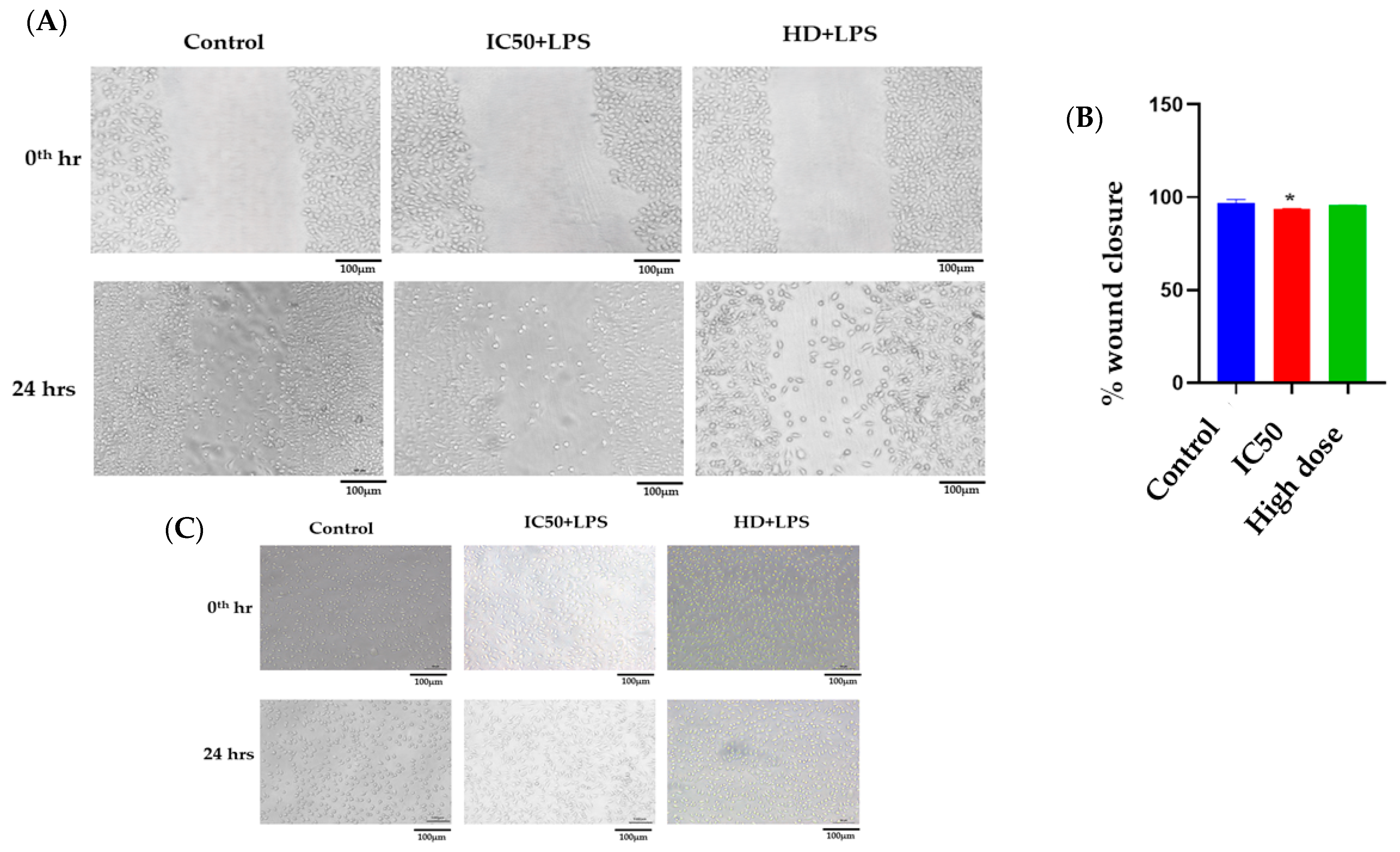 Pathophysiology 31 00049 g005