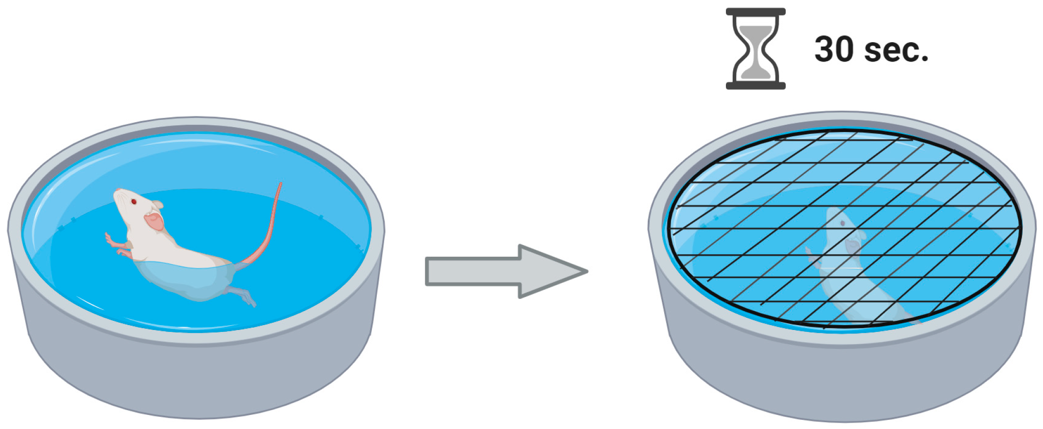 Pathophysiology 31 00051 g003