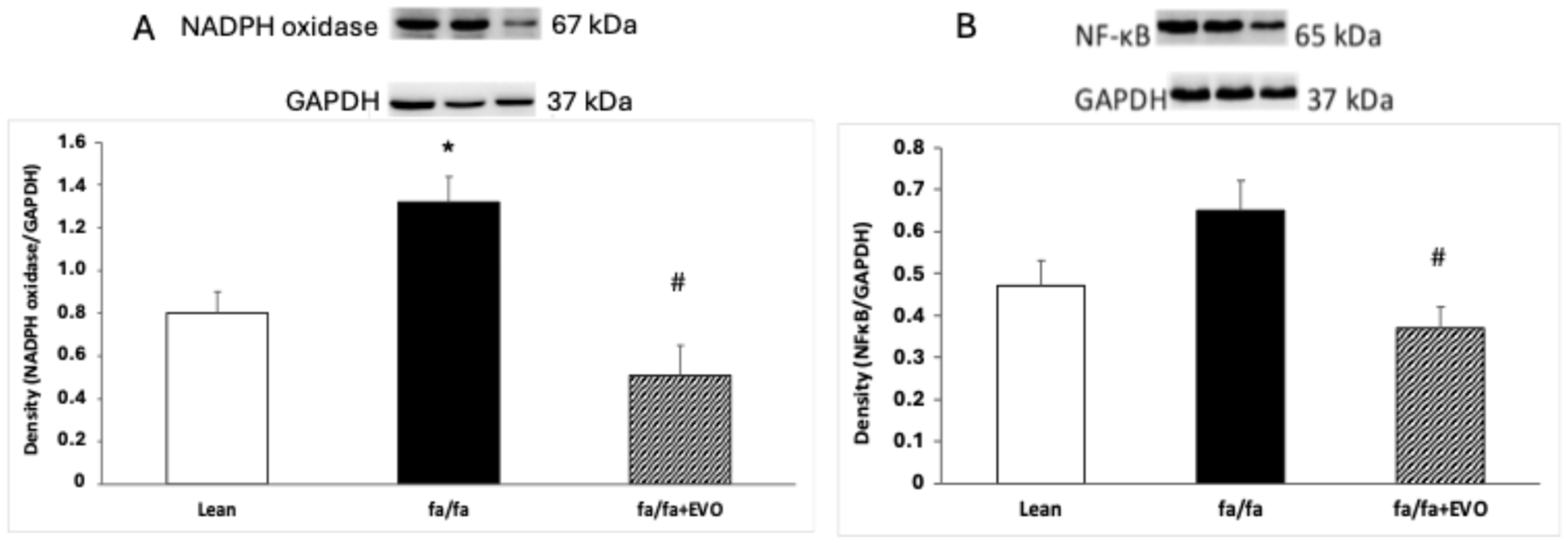 Pathophysiology 32 00005 g003