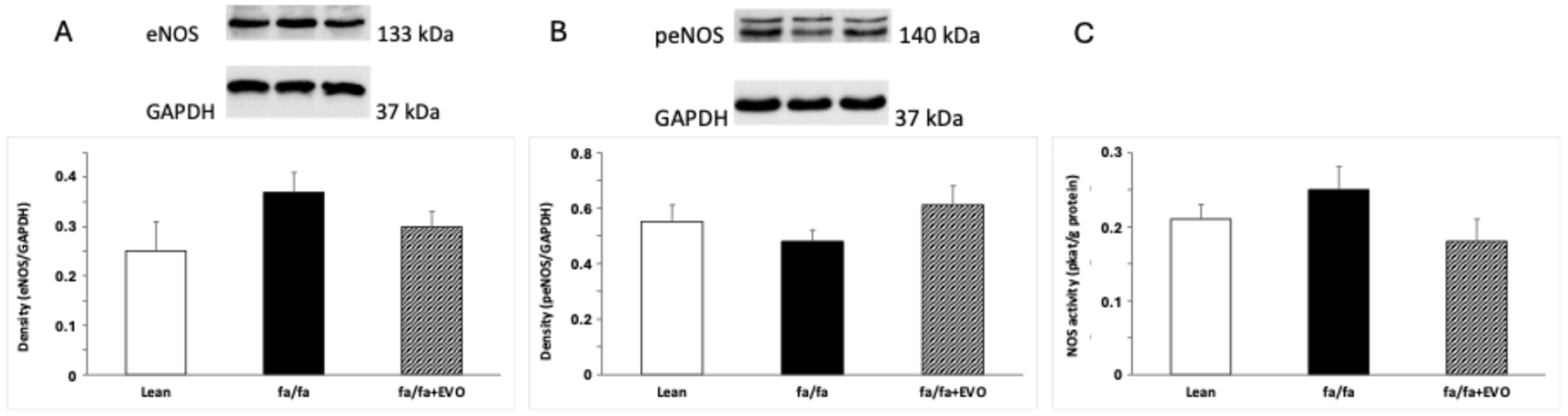Pathophysiology 32 00005 g004
