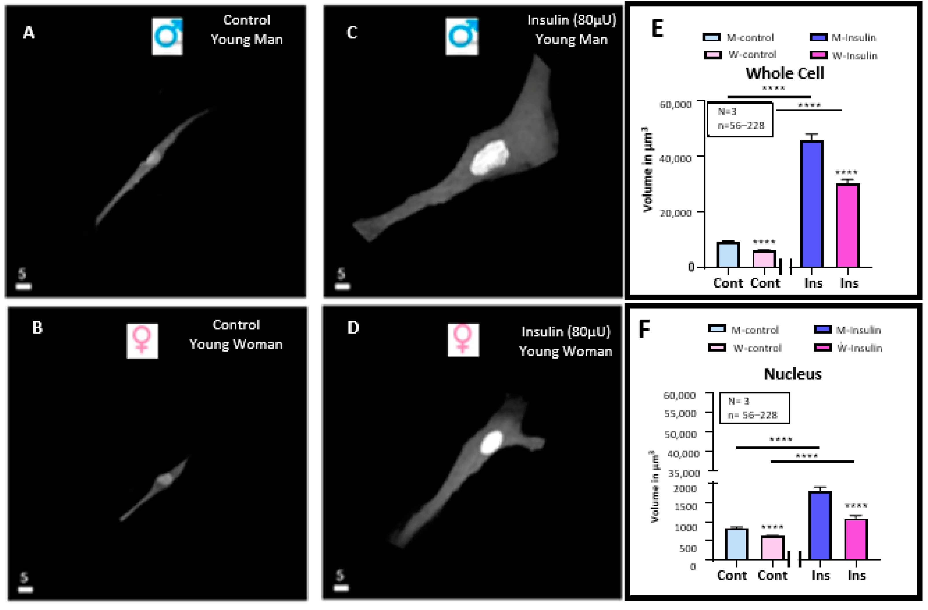 Pathophysiology 32 00012 g001